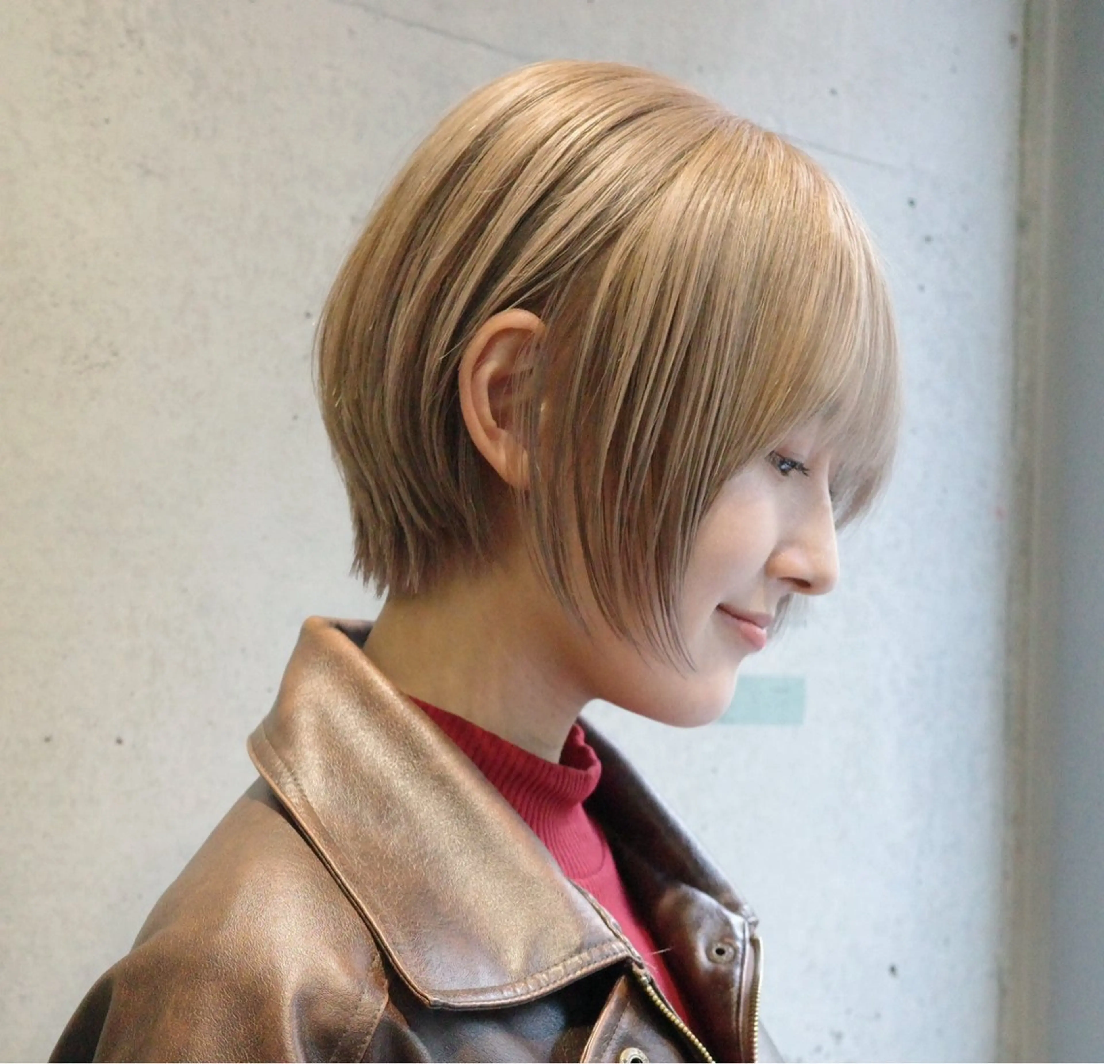 ショート ショートボブ ショートレイヤー 丸みショート ボブ レイヤーカット 田中 里奈のヘアスタイル