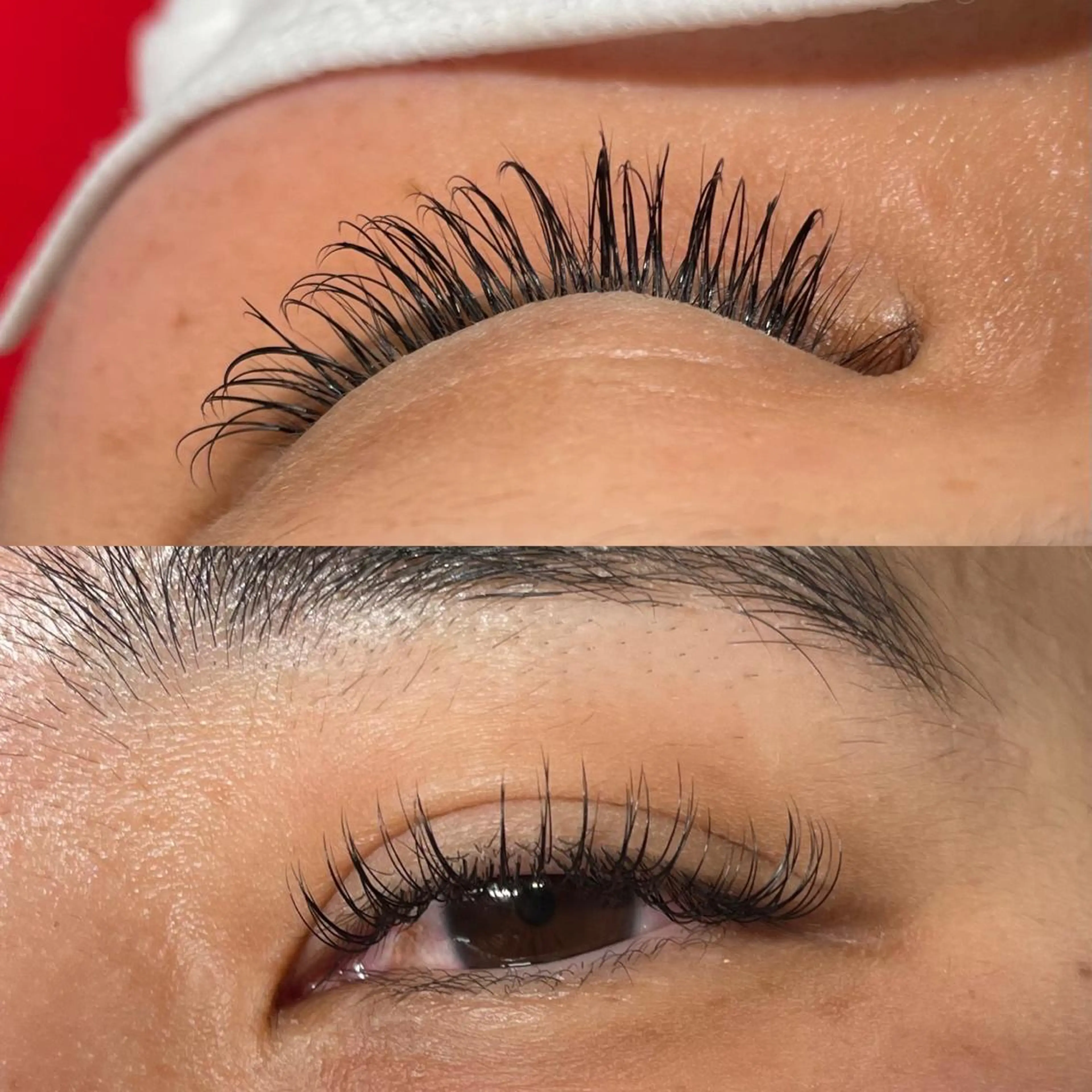 マツエク・マツパ Dカール ナチュラル MAQUIA御殿場店 髙橋のマツエク・マツパデザイン