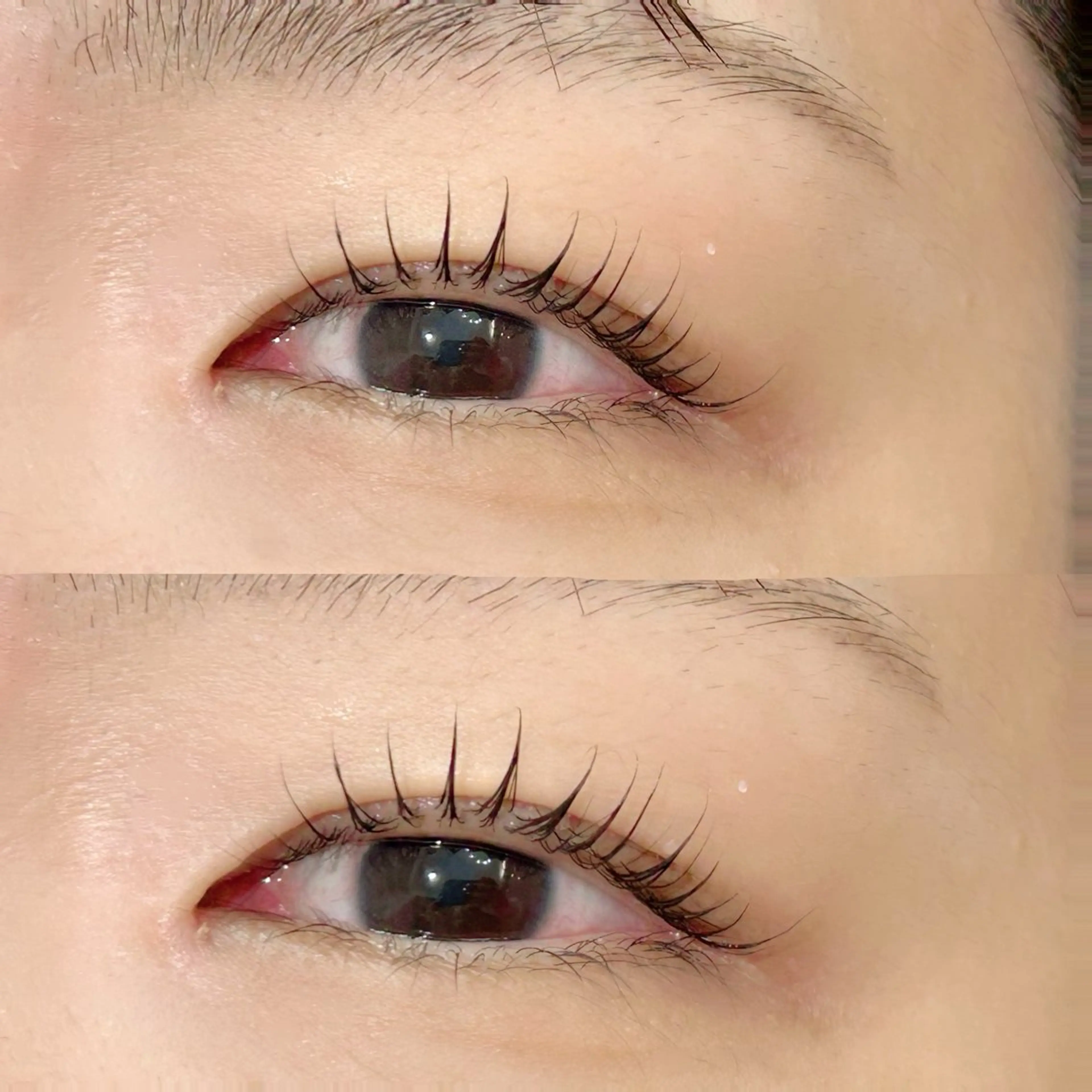 マツエク・マツパ マツパ Frances Miyamotoのマツエク・マツパデザイン