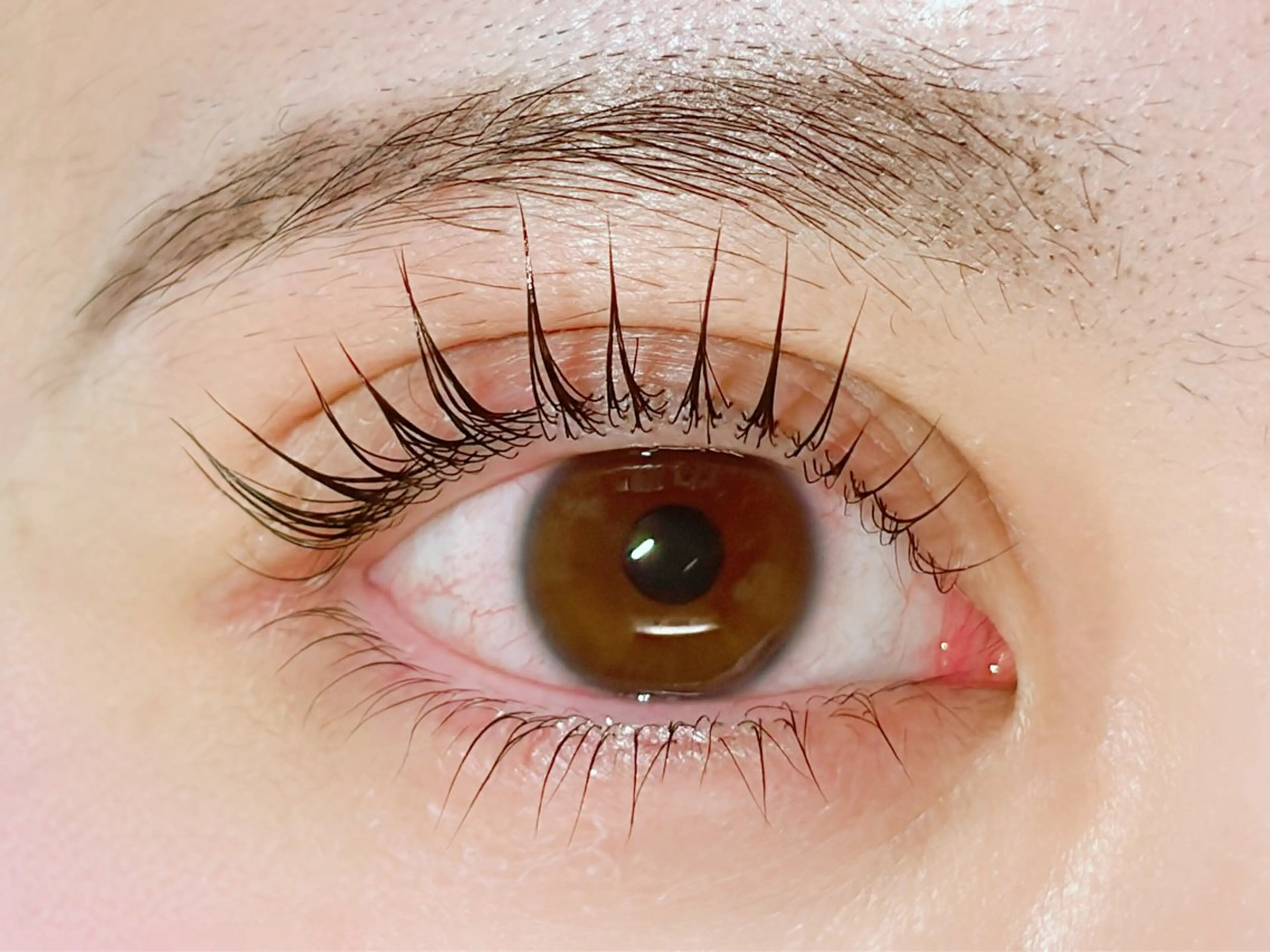 マツエク・マツパ マツパ Rinto/ makoのマツエク・マツパデザイン