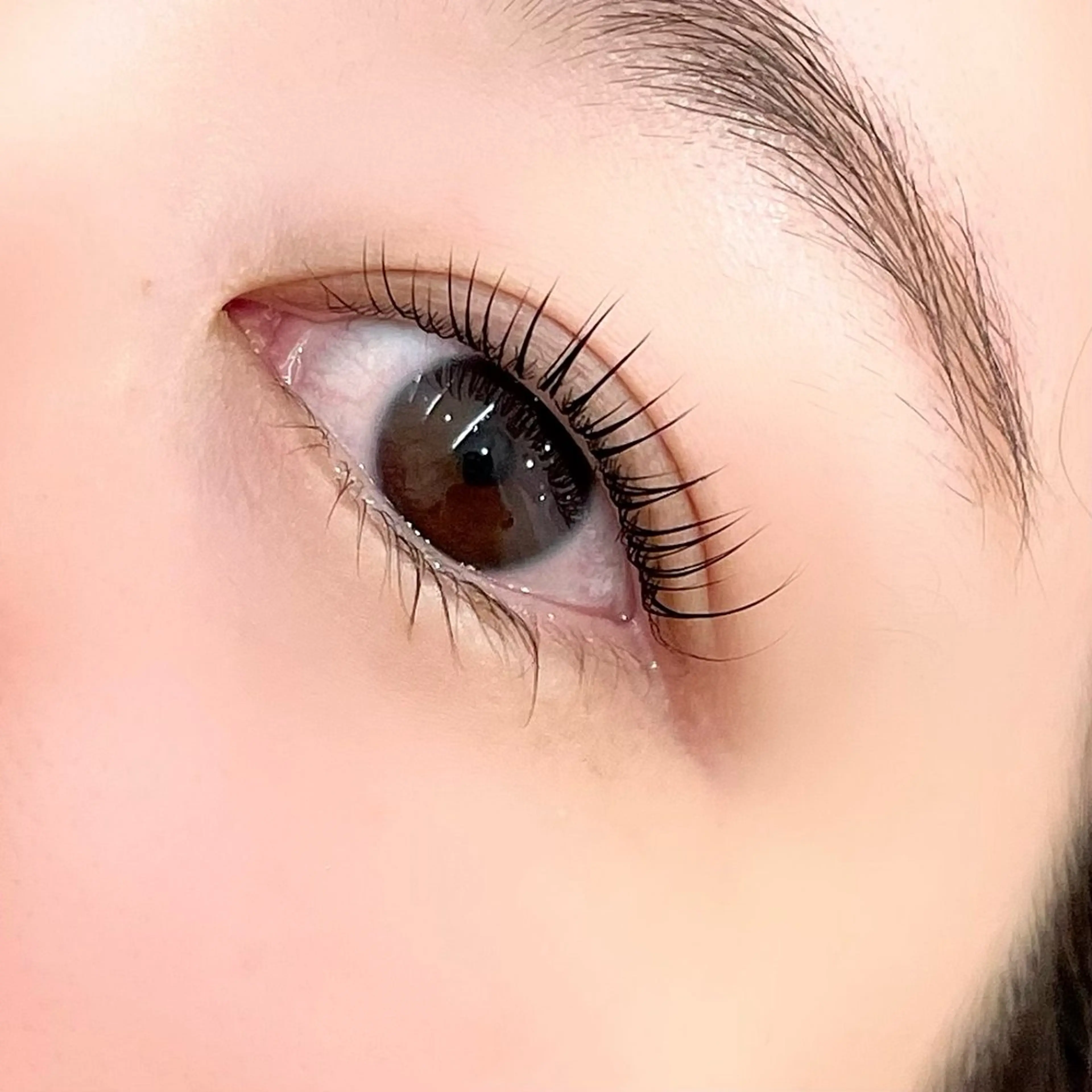 ⭐️ミニモ限定⭐️まつげを傷めずにトリートメントしながらまつげをアップさせる初めての化粧品認可システム❗️の写真