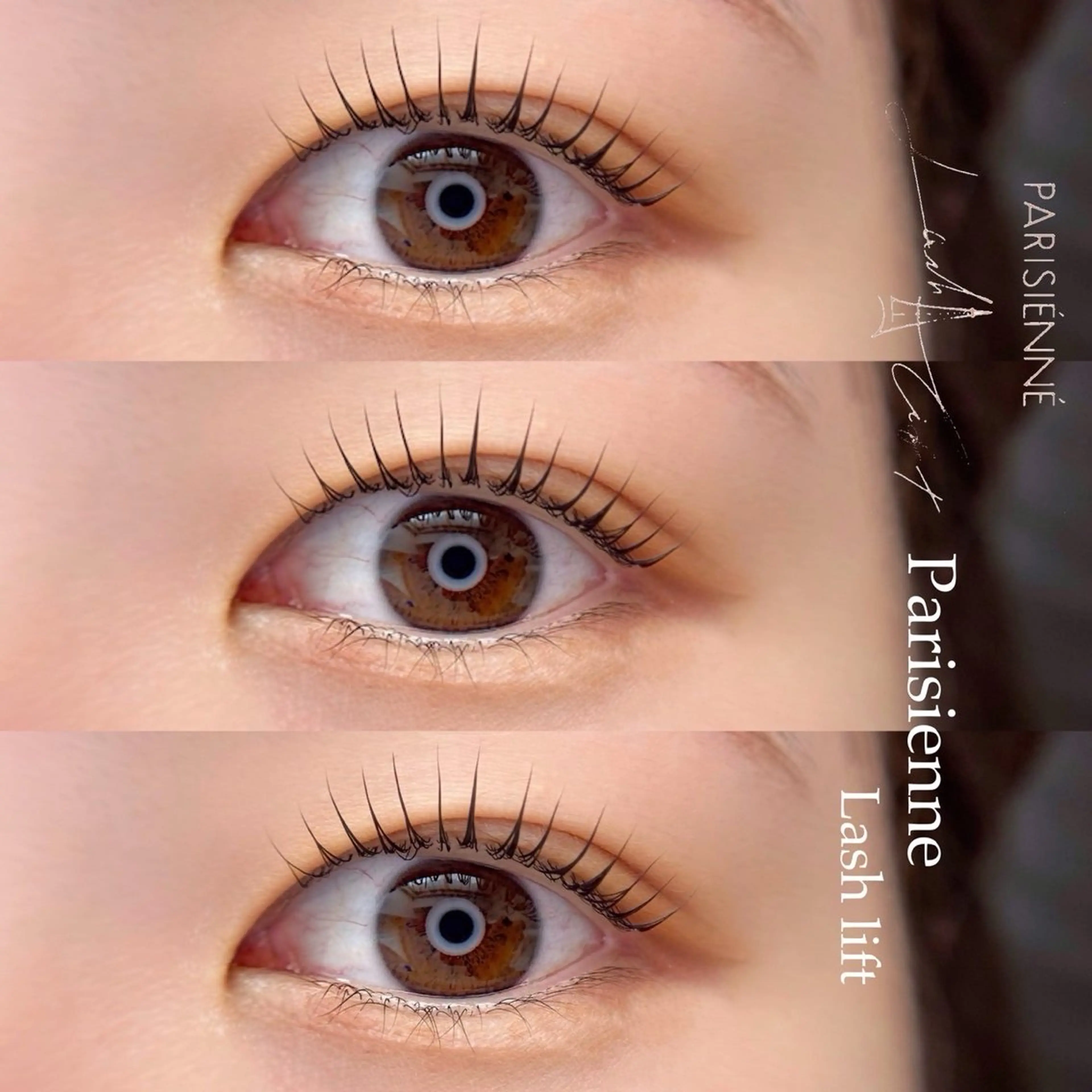 マツエク・マツパ Lash one所属・Lash one 大宮東口店のマツエク・マツパデザイン