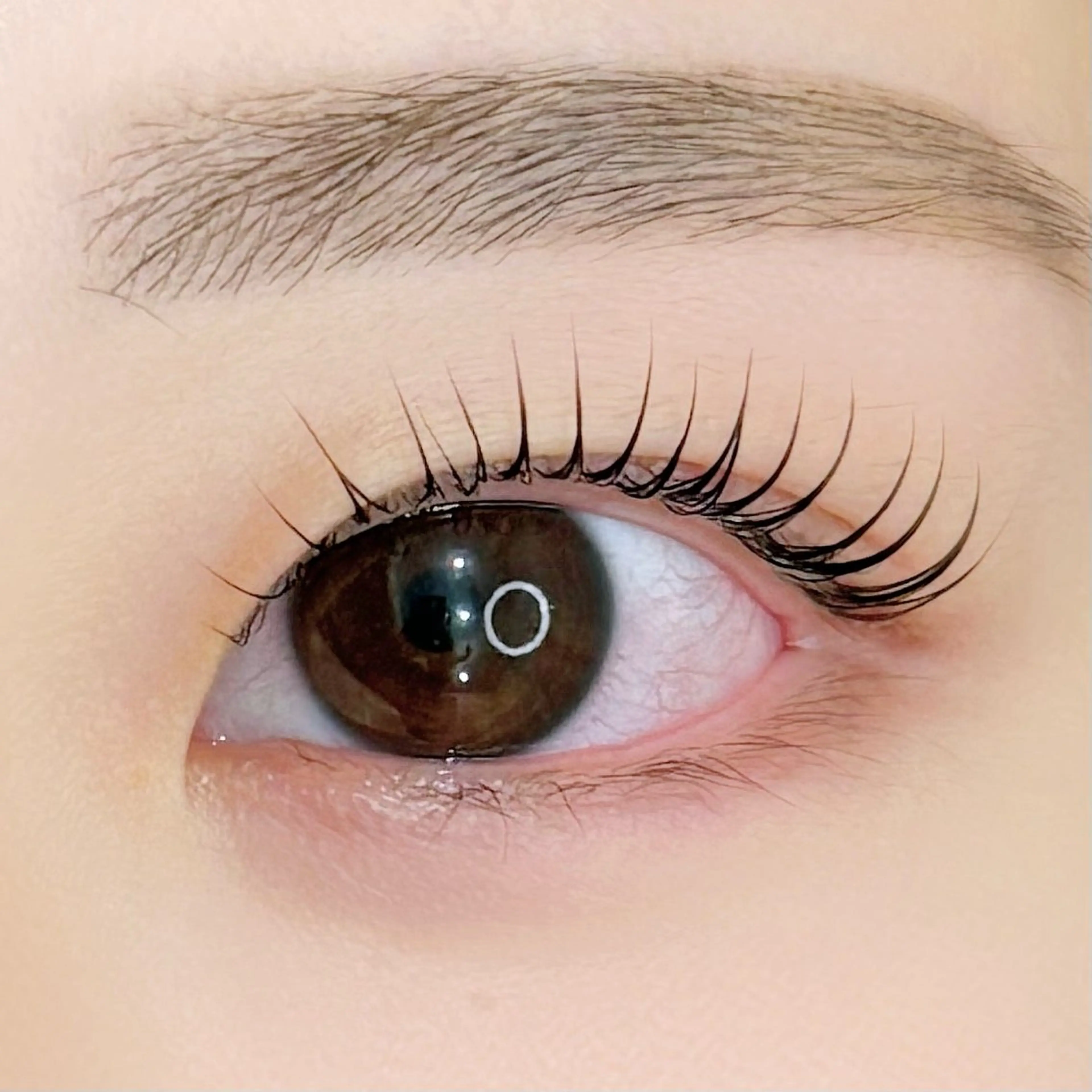 根本立ち上げ！ラッシュリフト【ケラチントリートメント&仕上げコーティング】付✨の写真