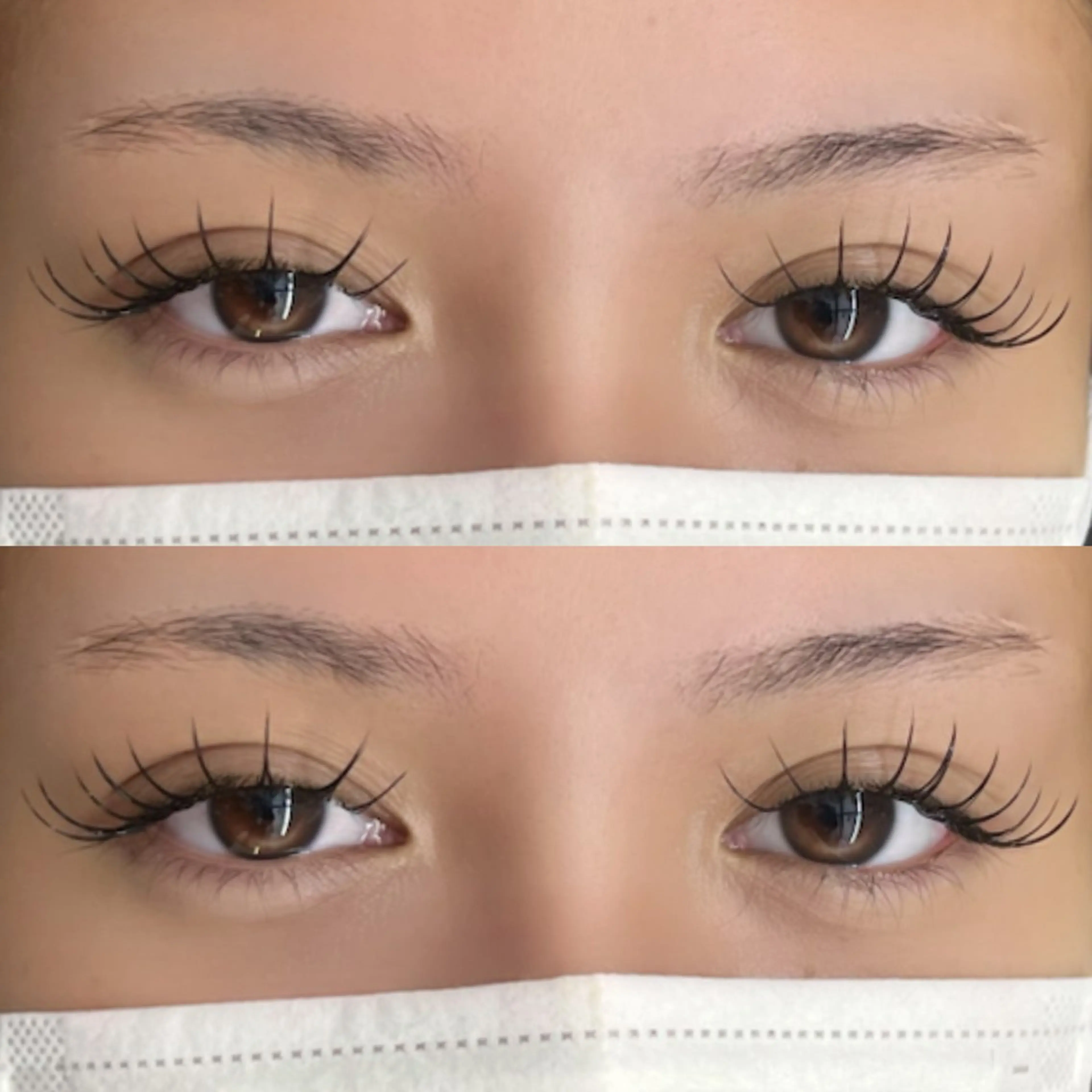 🎀Jr.クーポン🎀　フラットラッシュ120本の写真