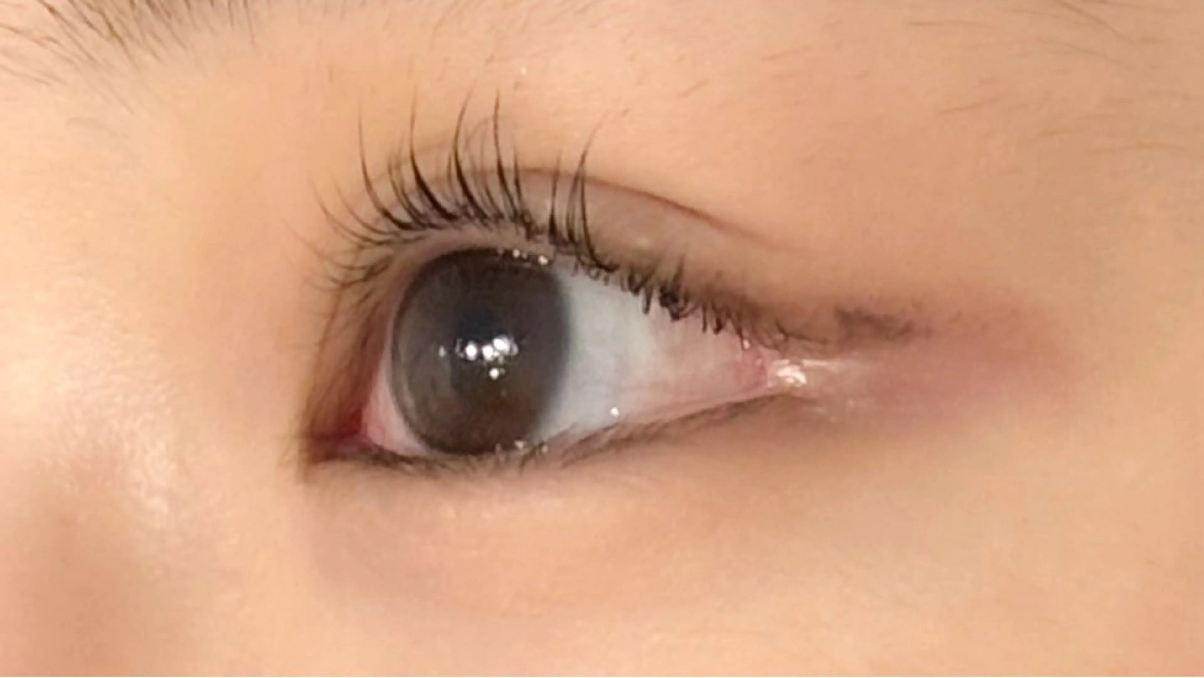 マツエク・マツパ パリジェンヌラッシュリフト me. 渋谷駅/miyuのマツエク・マツパデザイン