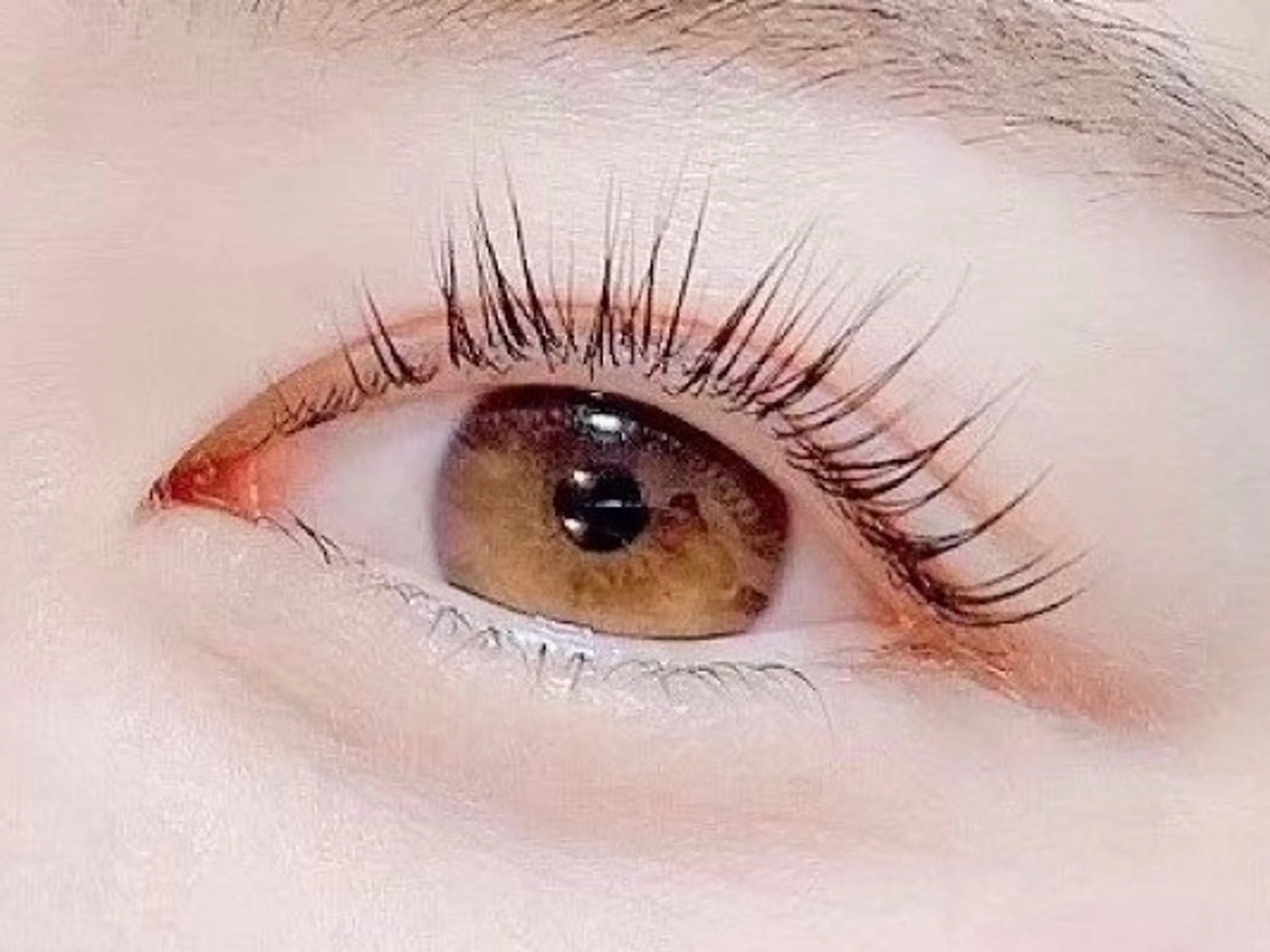 🧸パリジェンヌ🥨の写真