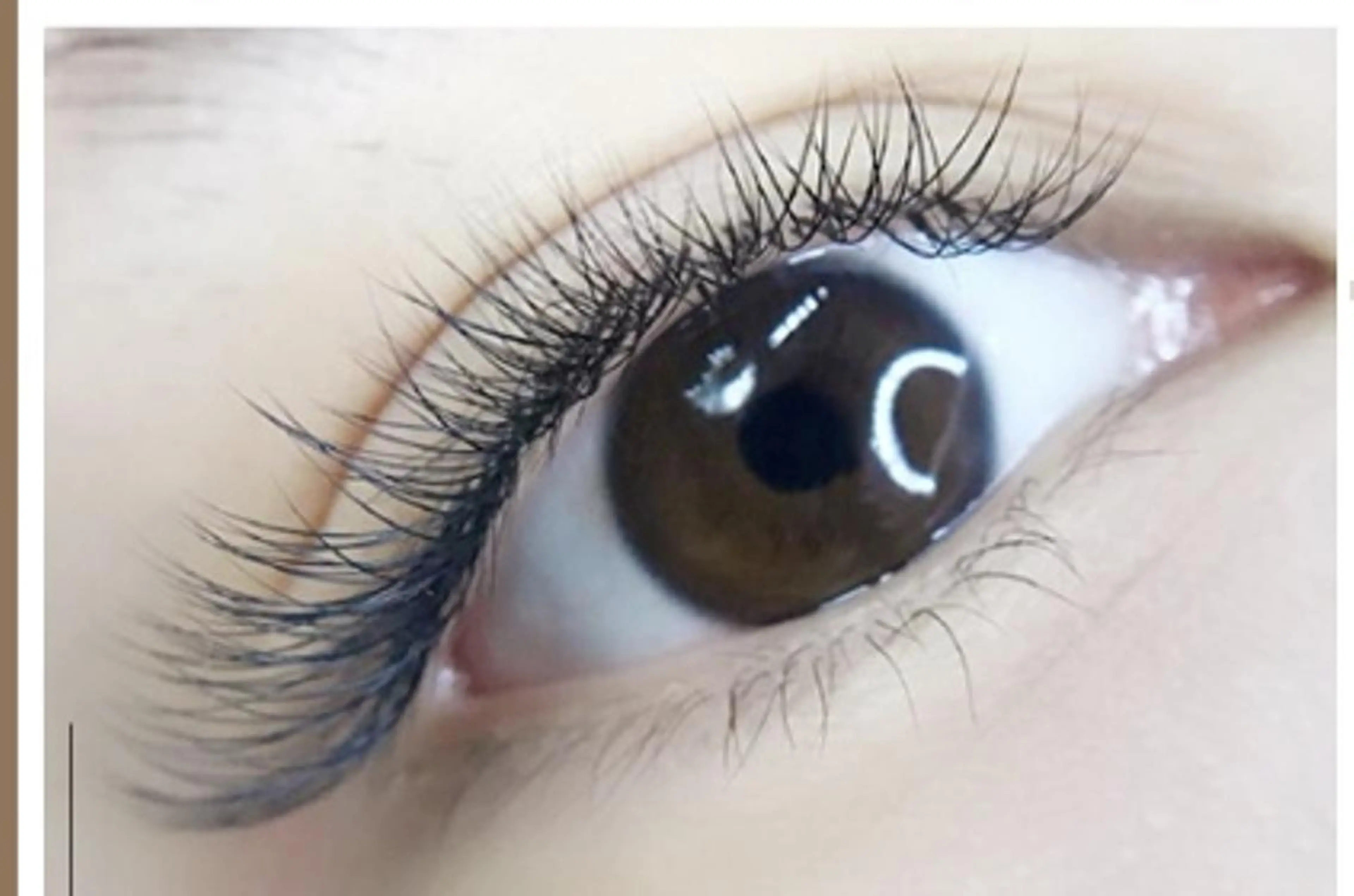 マツエク・マツパ 付け放題 フラットラッシュ ミンク セーブル Cute B e au t yのマツエク・マツパデザイン