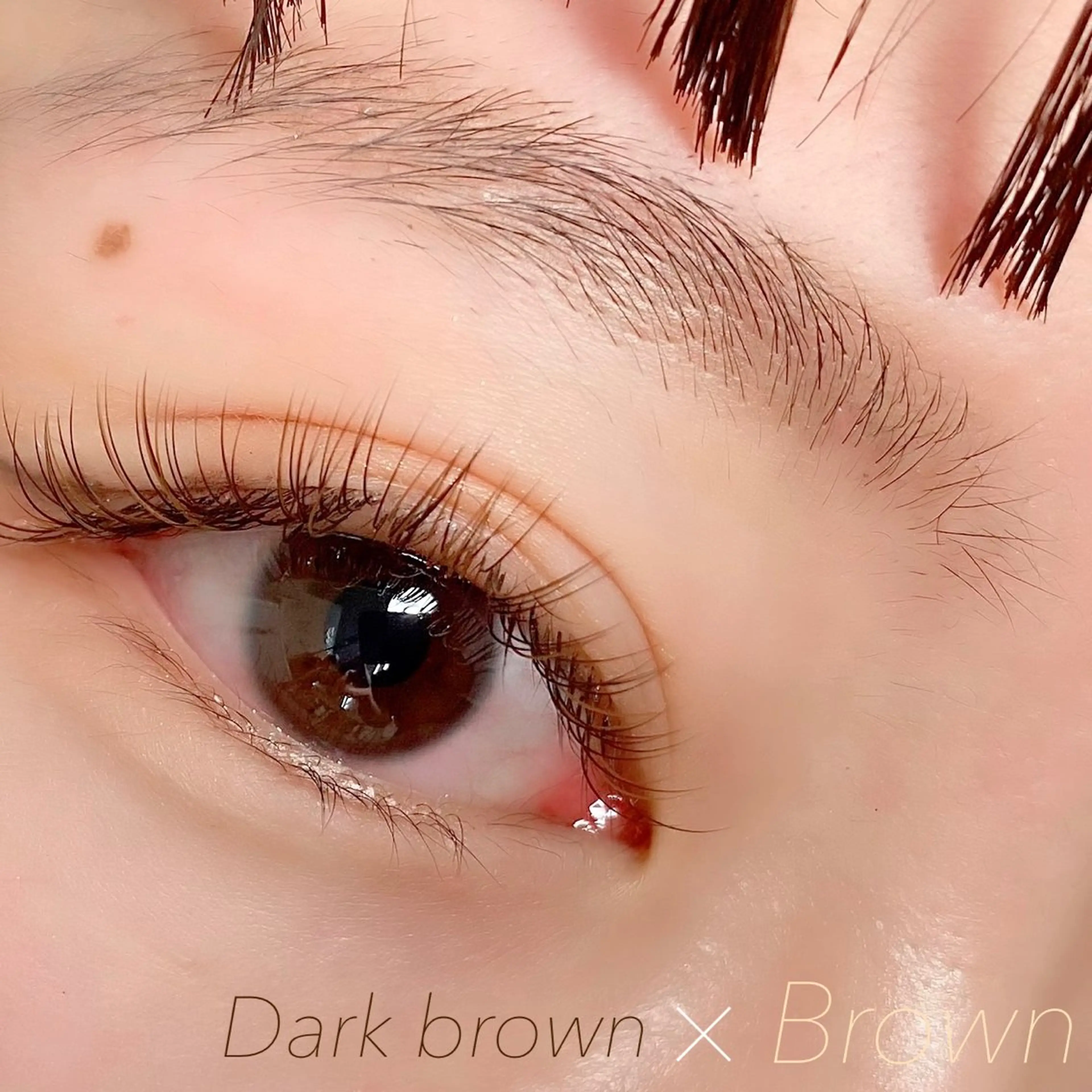 マツエク・マツパ 太田 BeckyLashのマツエク・マツパデザイン