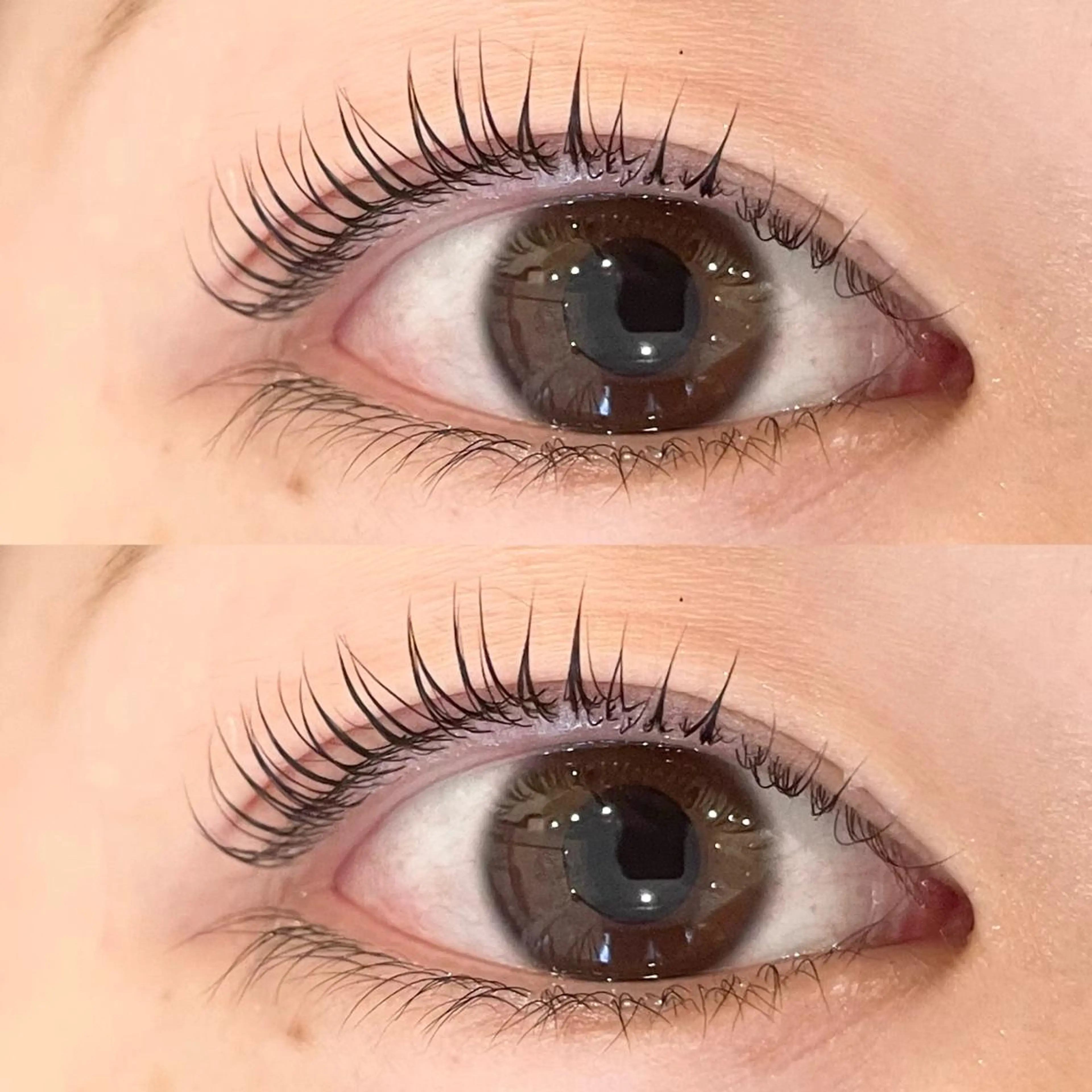 マツエク・マツパ まつげパーマ Sakura - blow京橋のマツエク・マツパデザイン