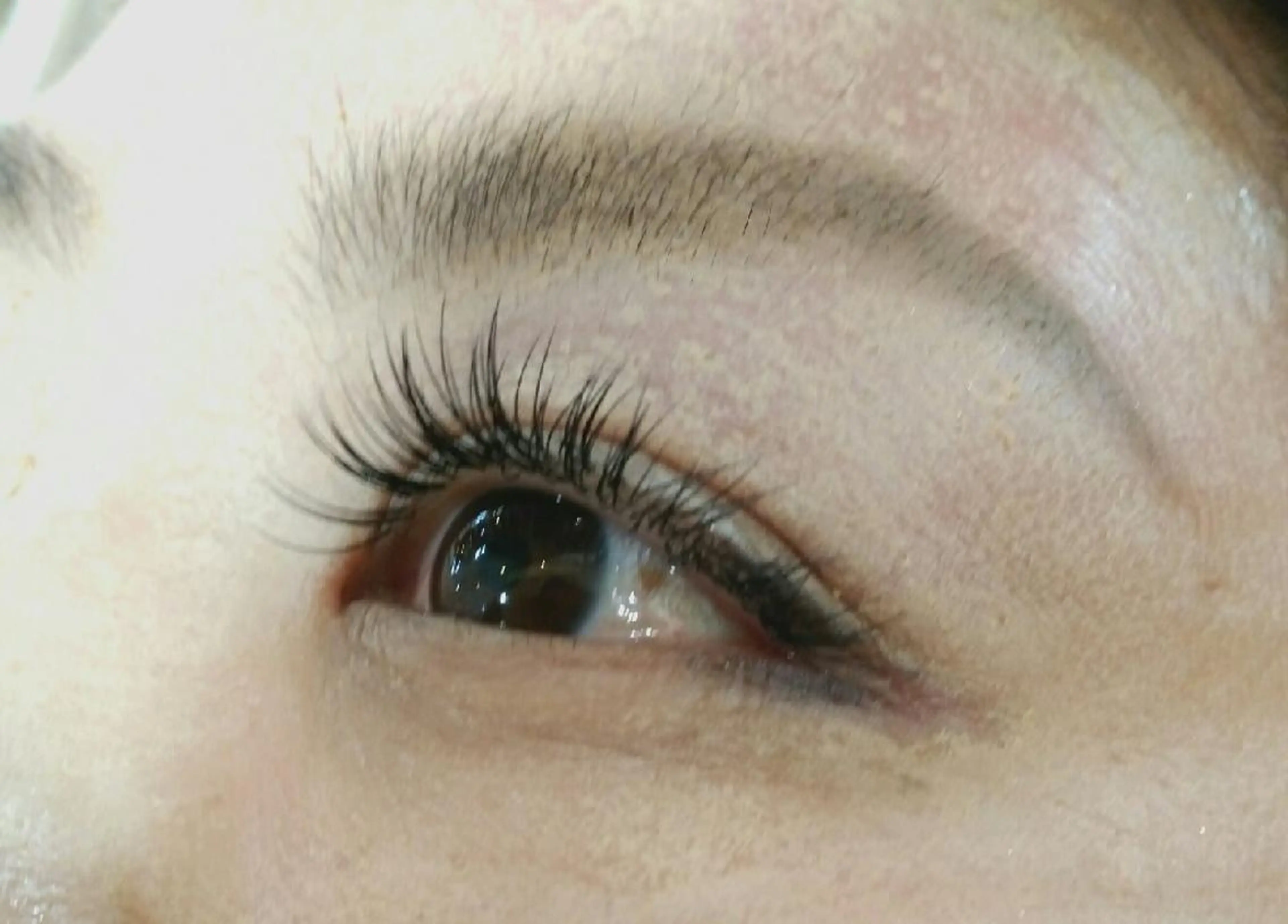 マツエク・マツパ Jカール ClatisseMavie所属・Clatisse Mavieのエステ・リラクイメージ