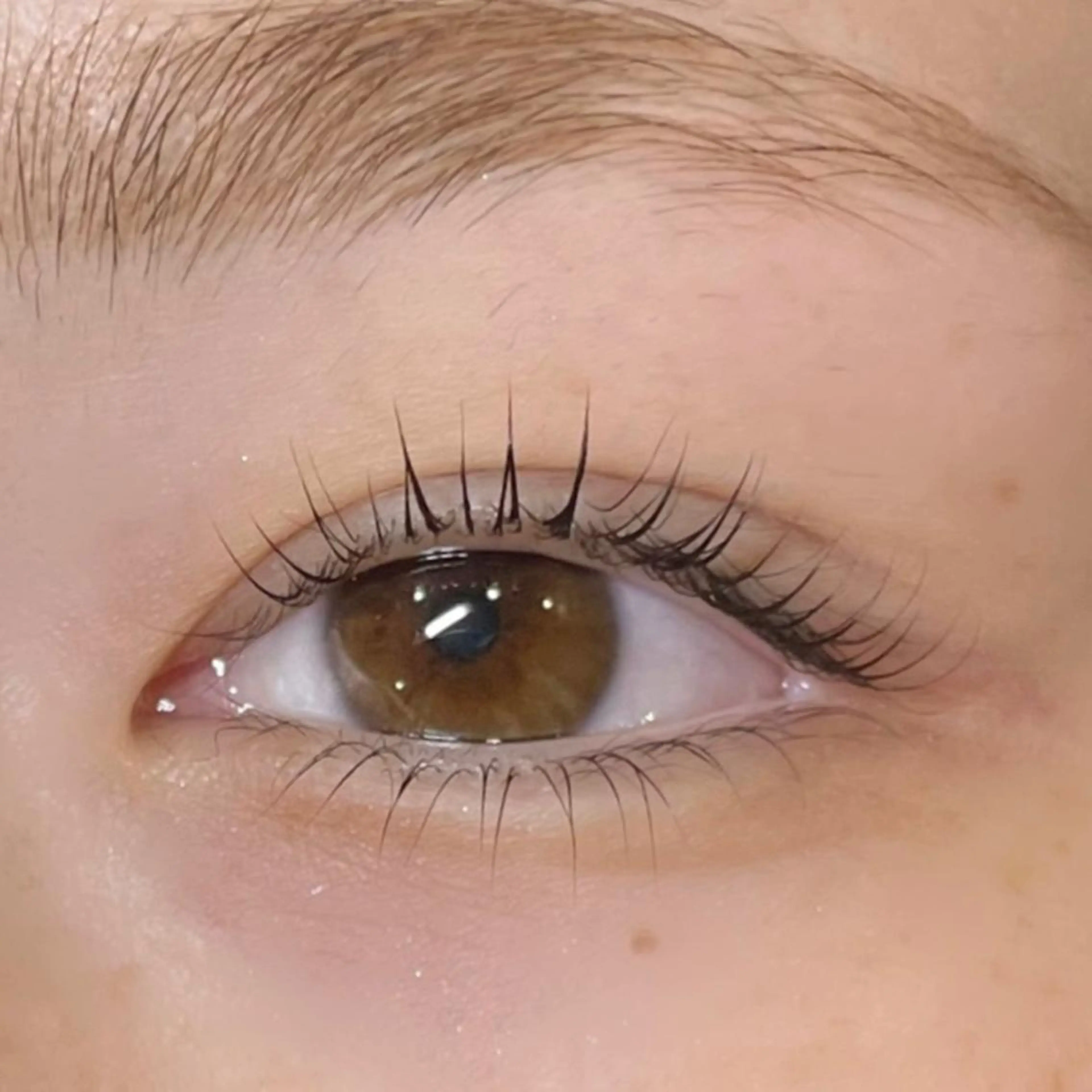 マツエク・マツパ 下まつげエクステ 一重×まつ毛パーマ andc 久宝寺のマツエク・マツパデザイン