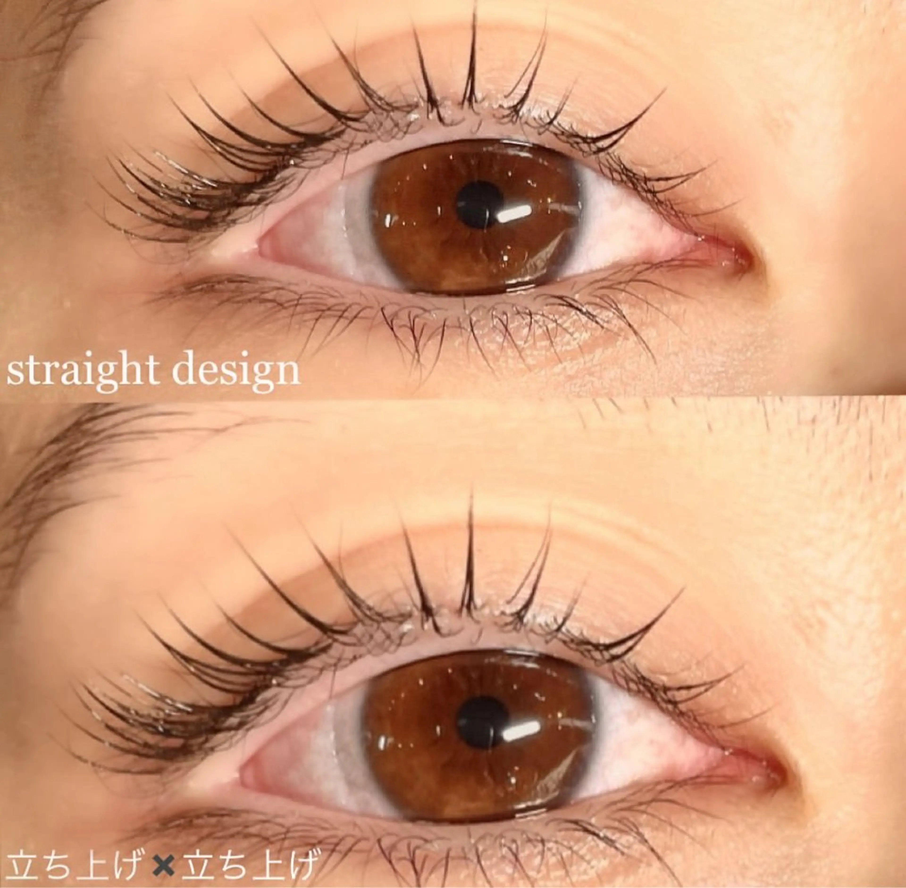 ãããšã¯ã»ããã Bianca/éçº Miyagiã®ãããšã¯ã»ããããã¶ã€ã³