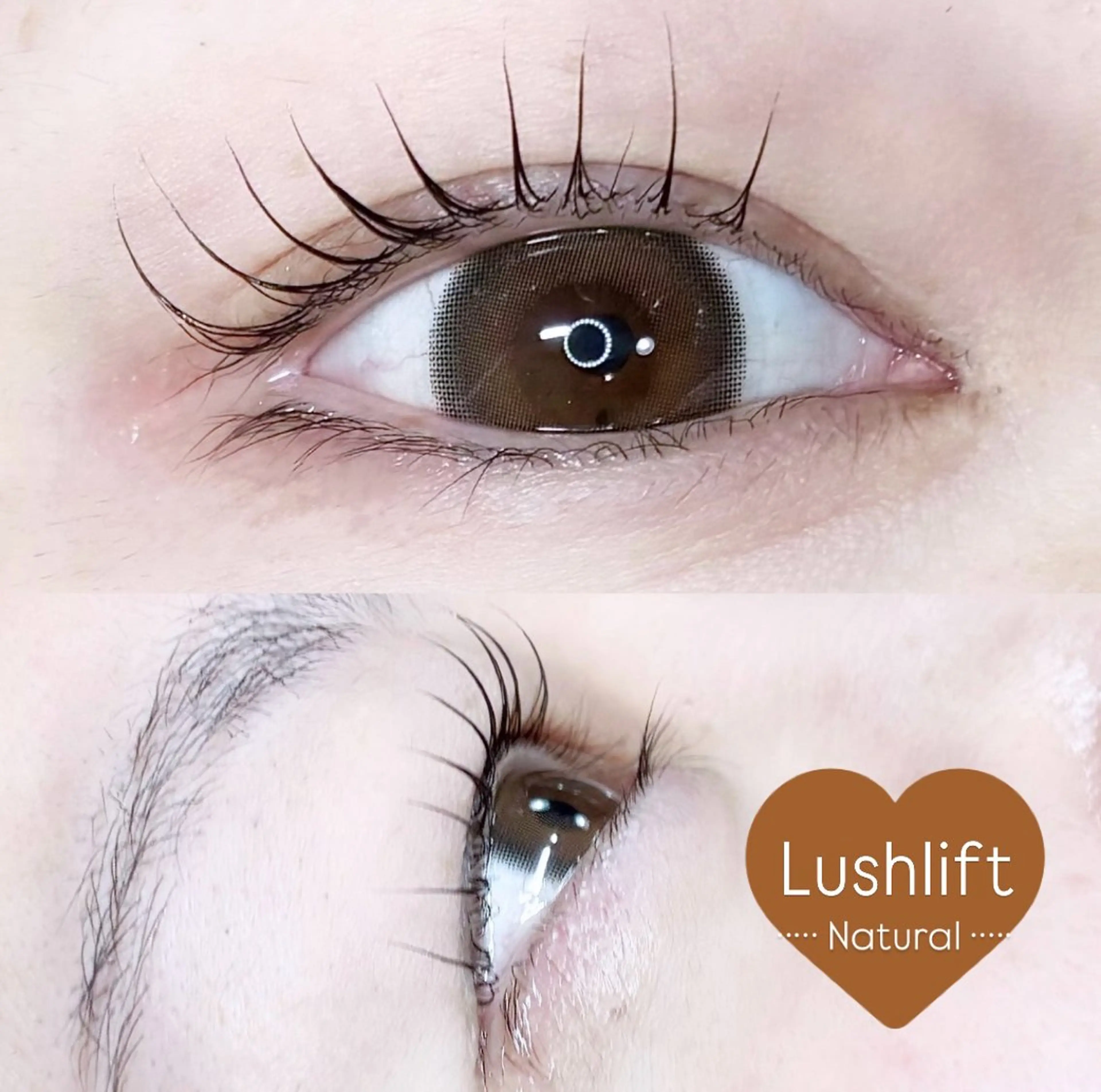 マツエク・マツパ LEDエクステ専門店 Fedis 京橋のマツエク・マツパデザイン