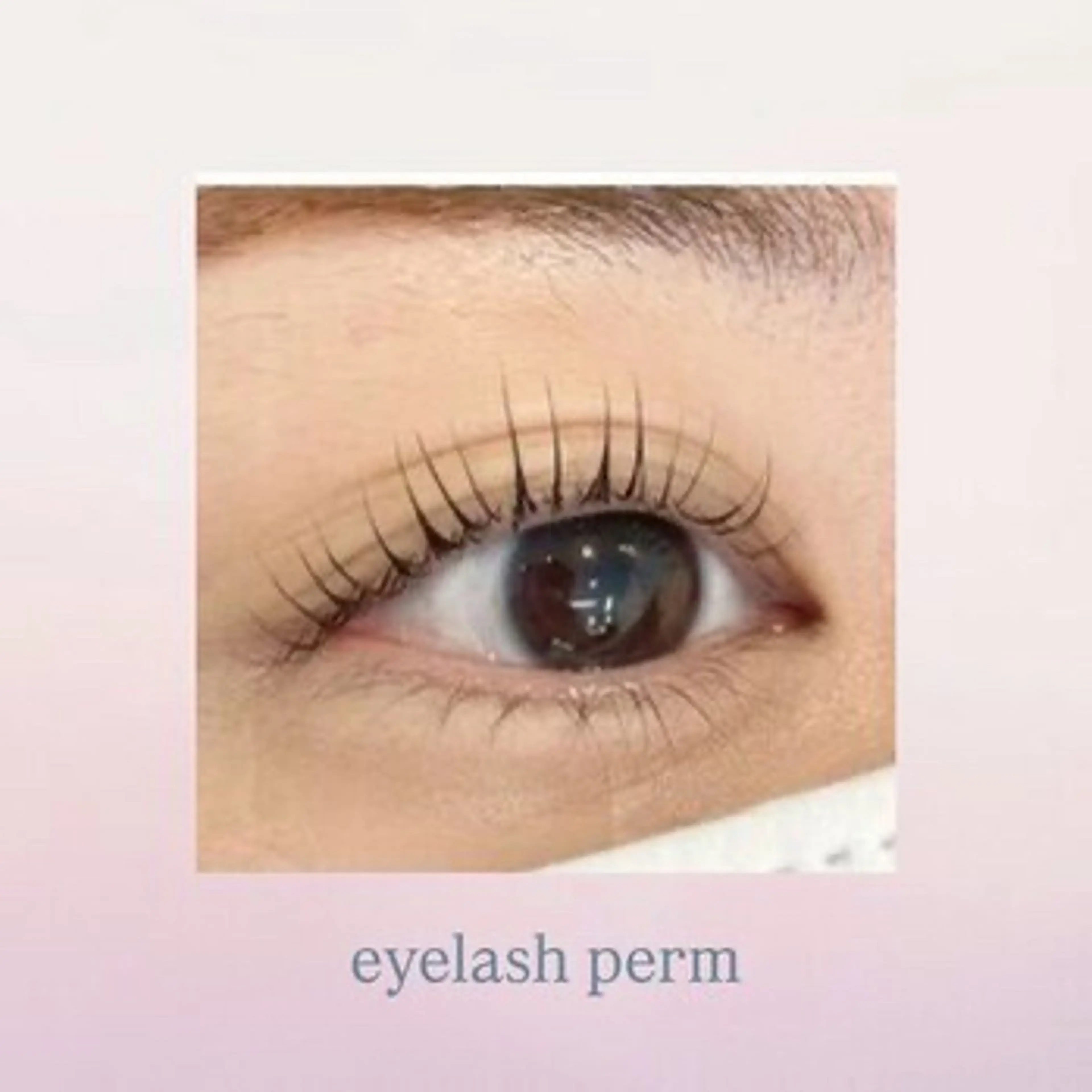 【ご新規様限定】💓根本から立ち上げパリジェンヌラッシュリフト💓ロコミ投稿でコーティング付き♪当日予約OK【阪神御影】の写真