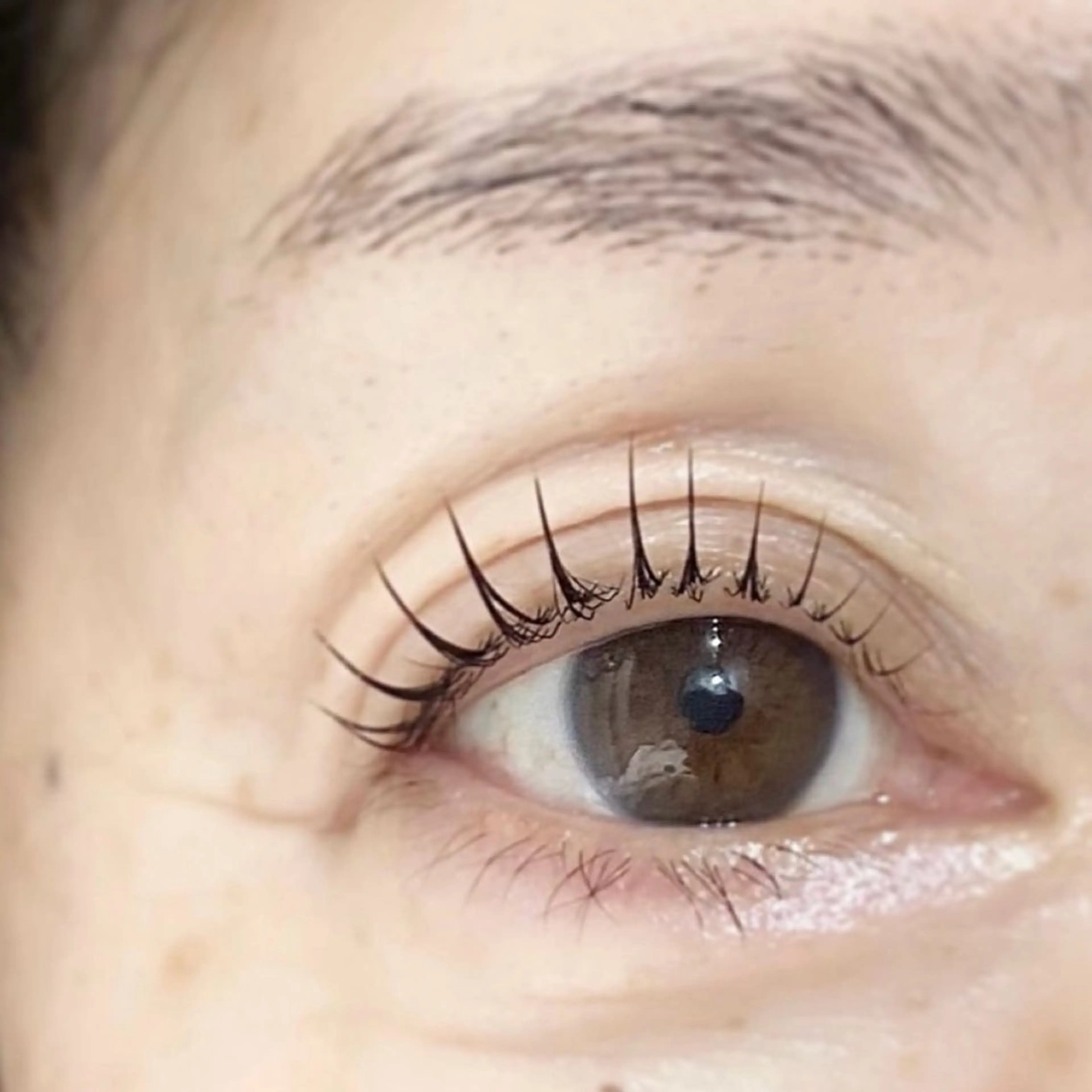 マツエク・マツパ まつげパーマ えんとゆかり　千歳船橋所属・AYANO &　YUKAのマツエク・マツパデザイン