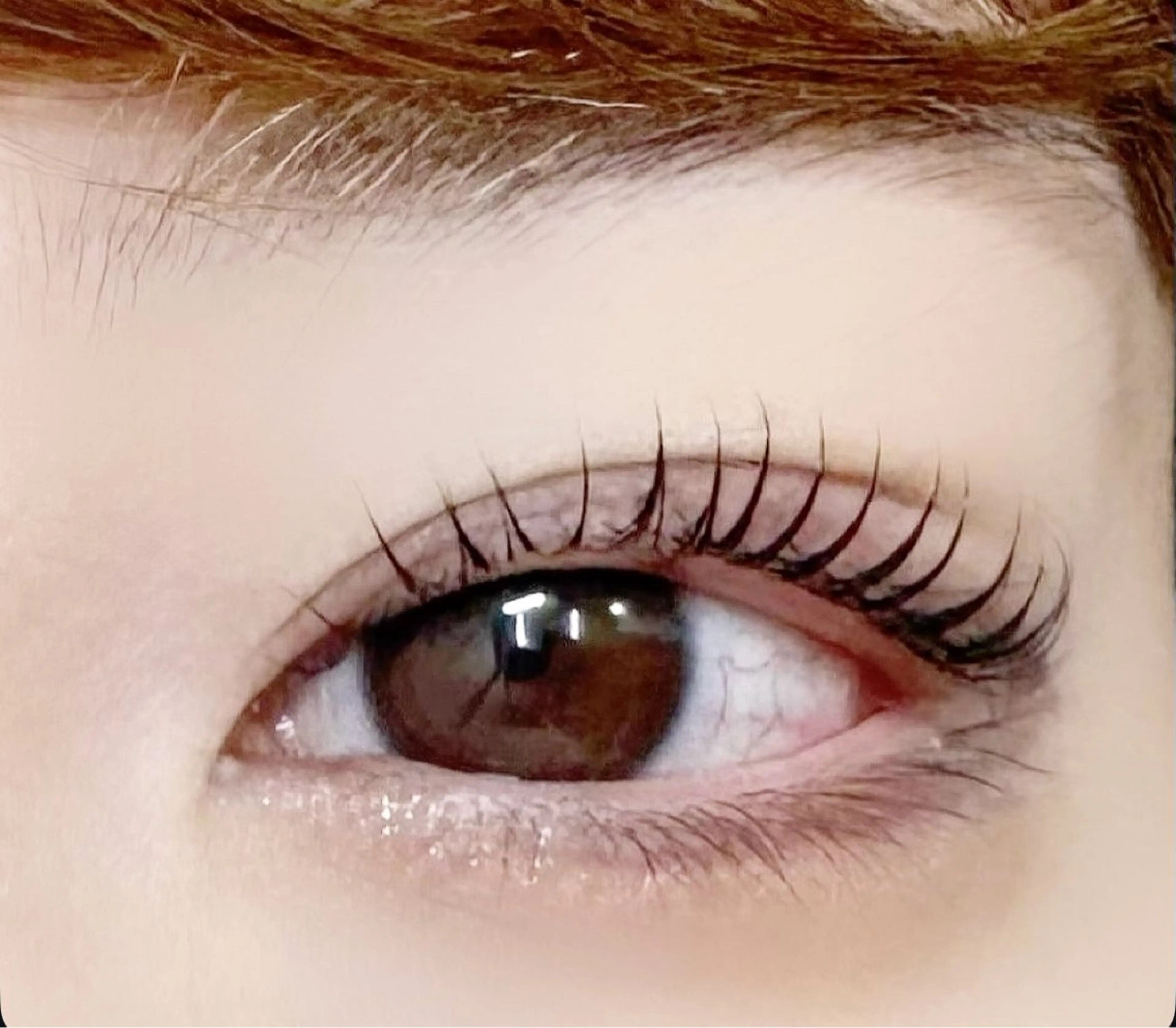 マスカラまつ毛パーマ❤️‍🔥ケラチントリートメント込み🧚🏻‍♀️ブラックティントコーティング仕上げ🫧の写真
