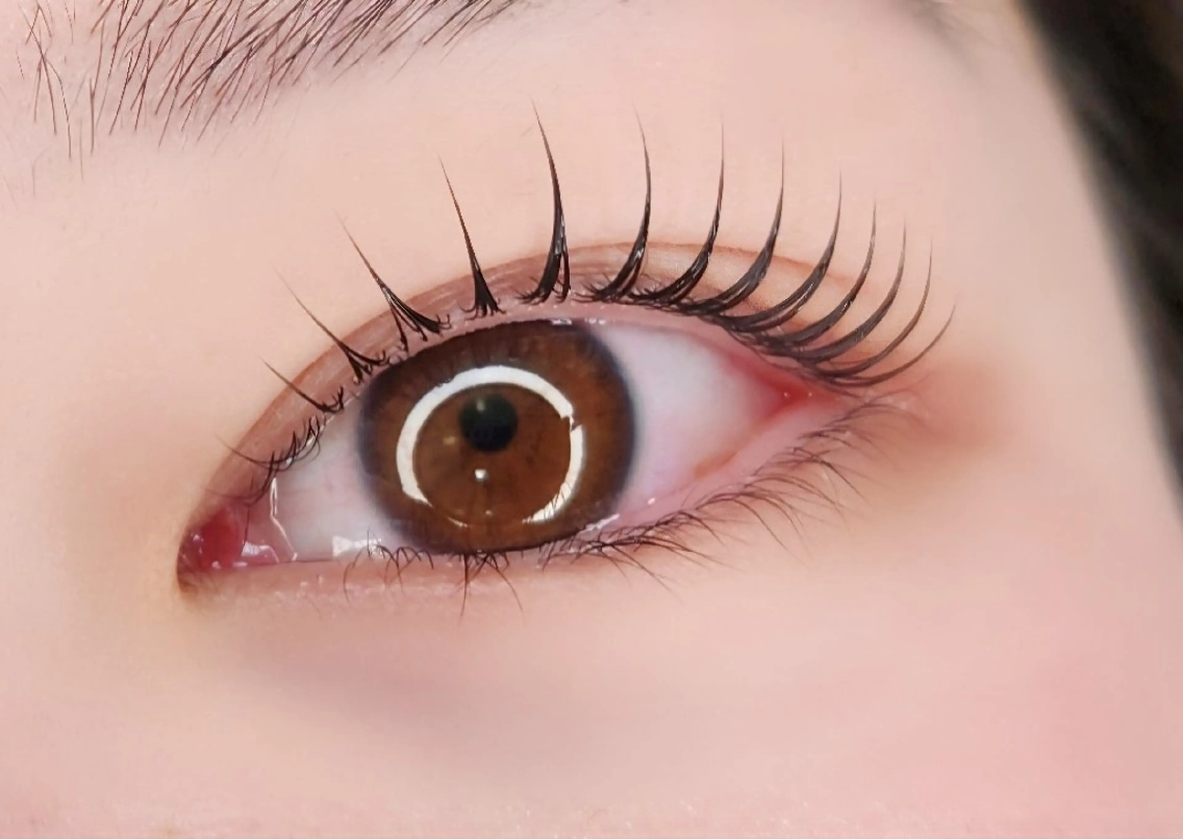 【平日限定】束感◎韓国風まつ毛パーマ☆Wトリートメント付き￥5,000の写真