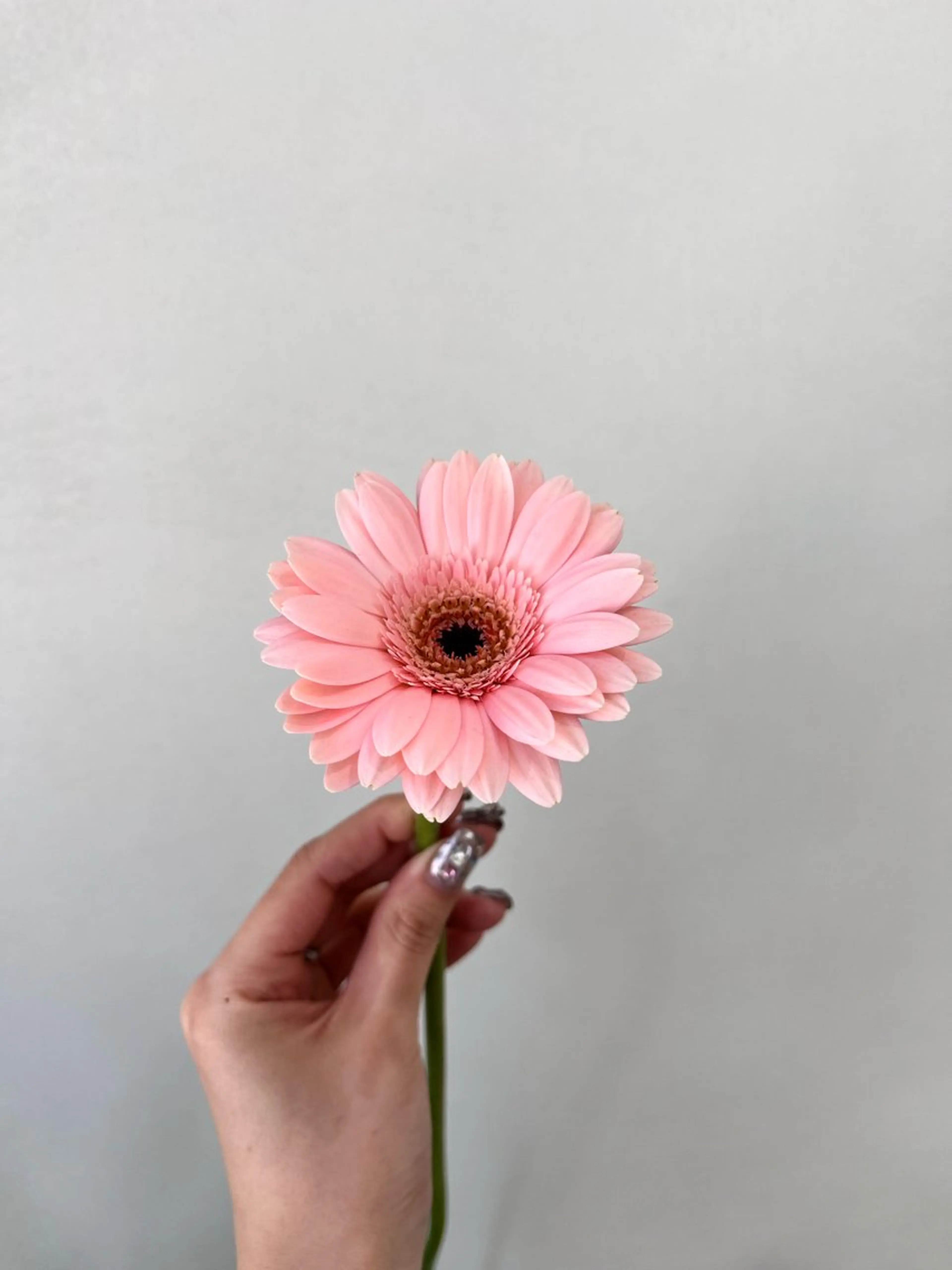 カラー 暖色カラー／ ヘアセット🌛櫻井舞のヘアスタイル