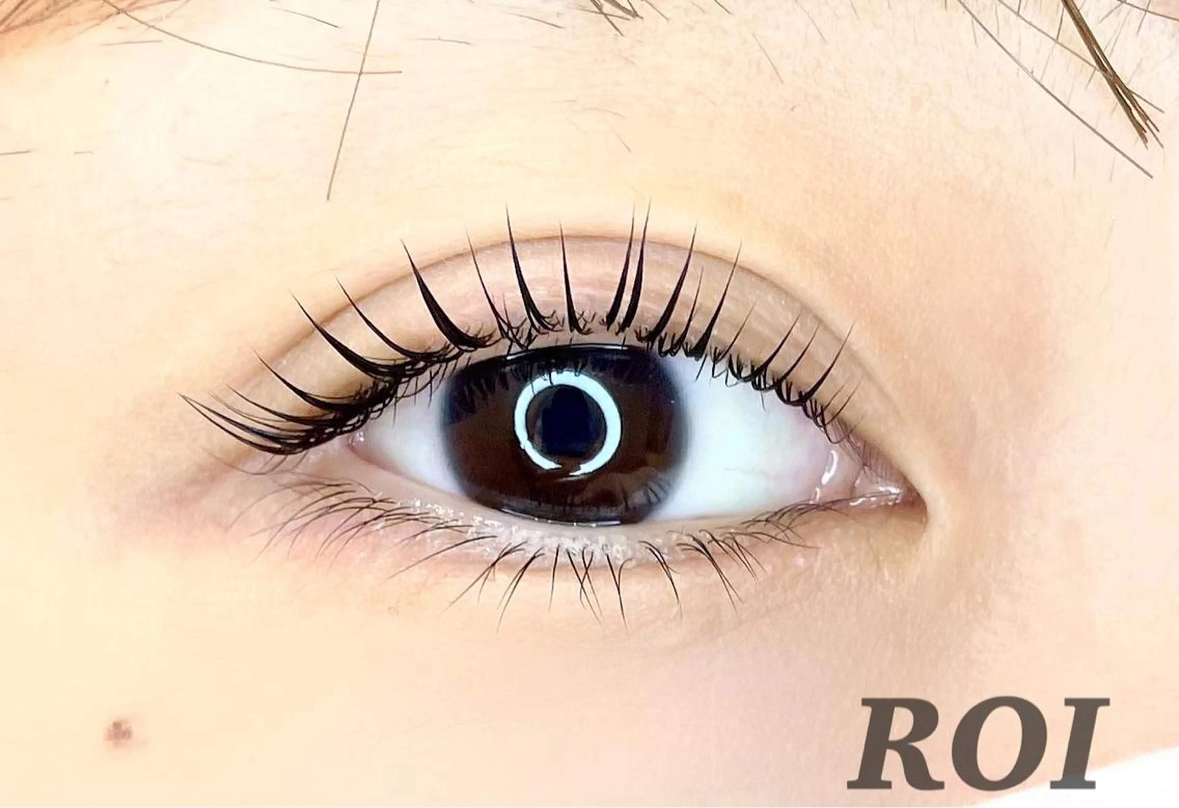 パリジェンヌラッシュリフトor似合わせデザインラッシュリフトの写真