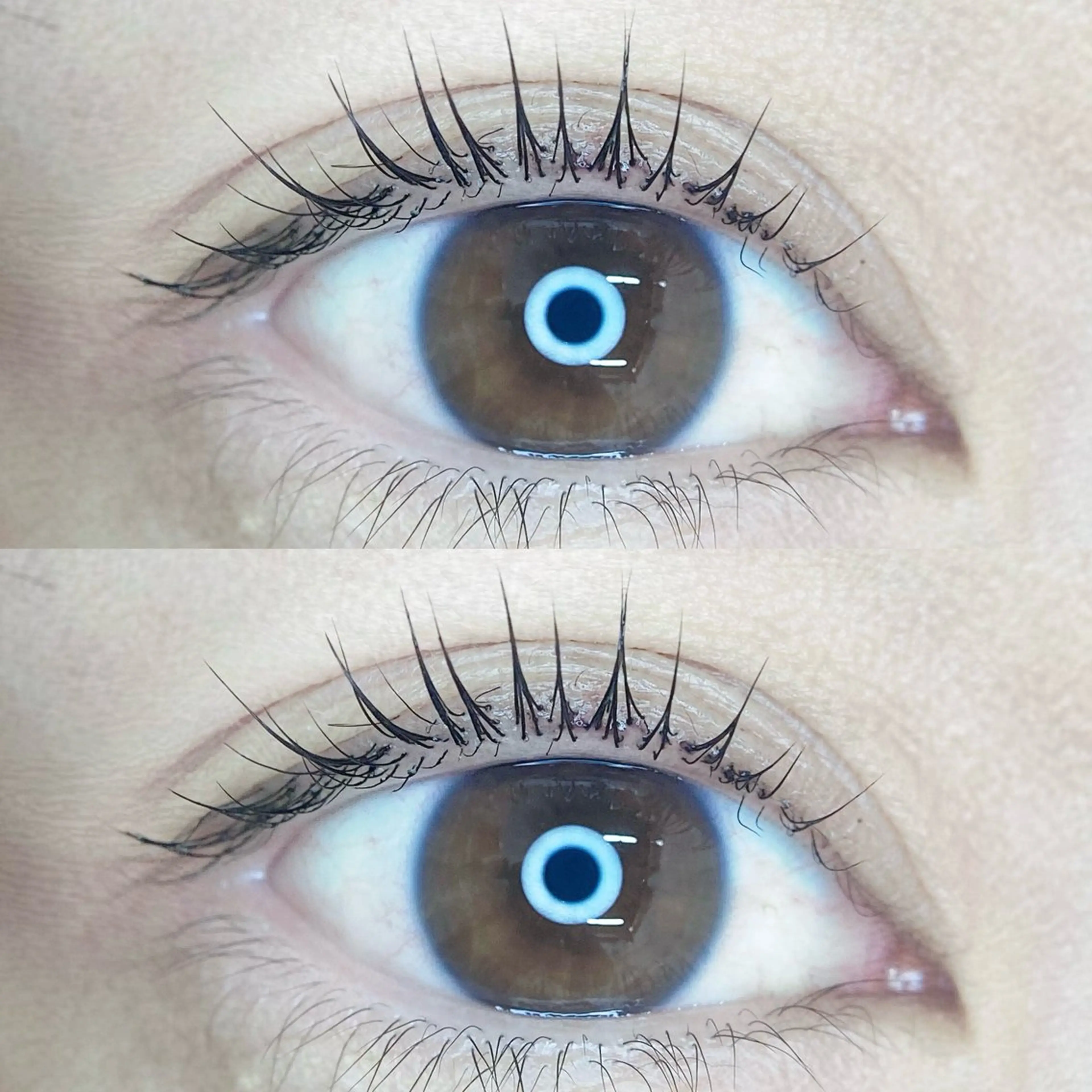 ❤️‍🔥マスカラパーマ+美容コーティング仕上げ❤️‍🔥の写真