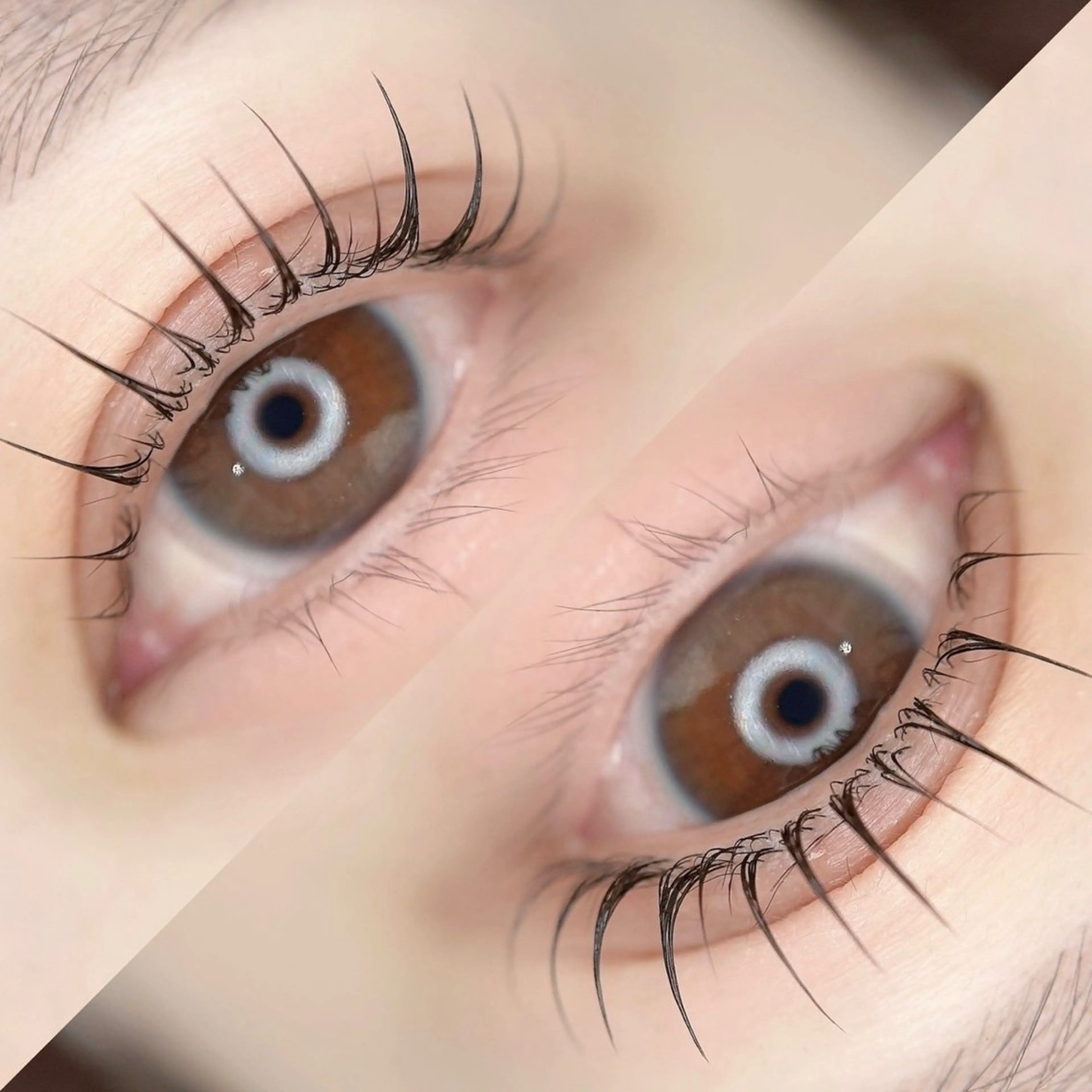 🫧ご新規様🫧似合わせオーダーメードまつ毛パーマ/パリジェンヌ　　　　　　　　　　　　　通常¥4800→¥3500の写真