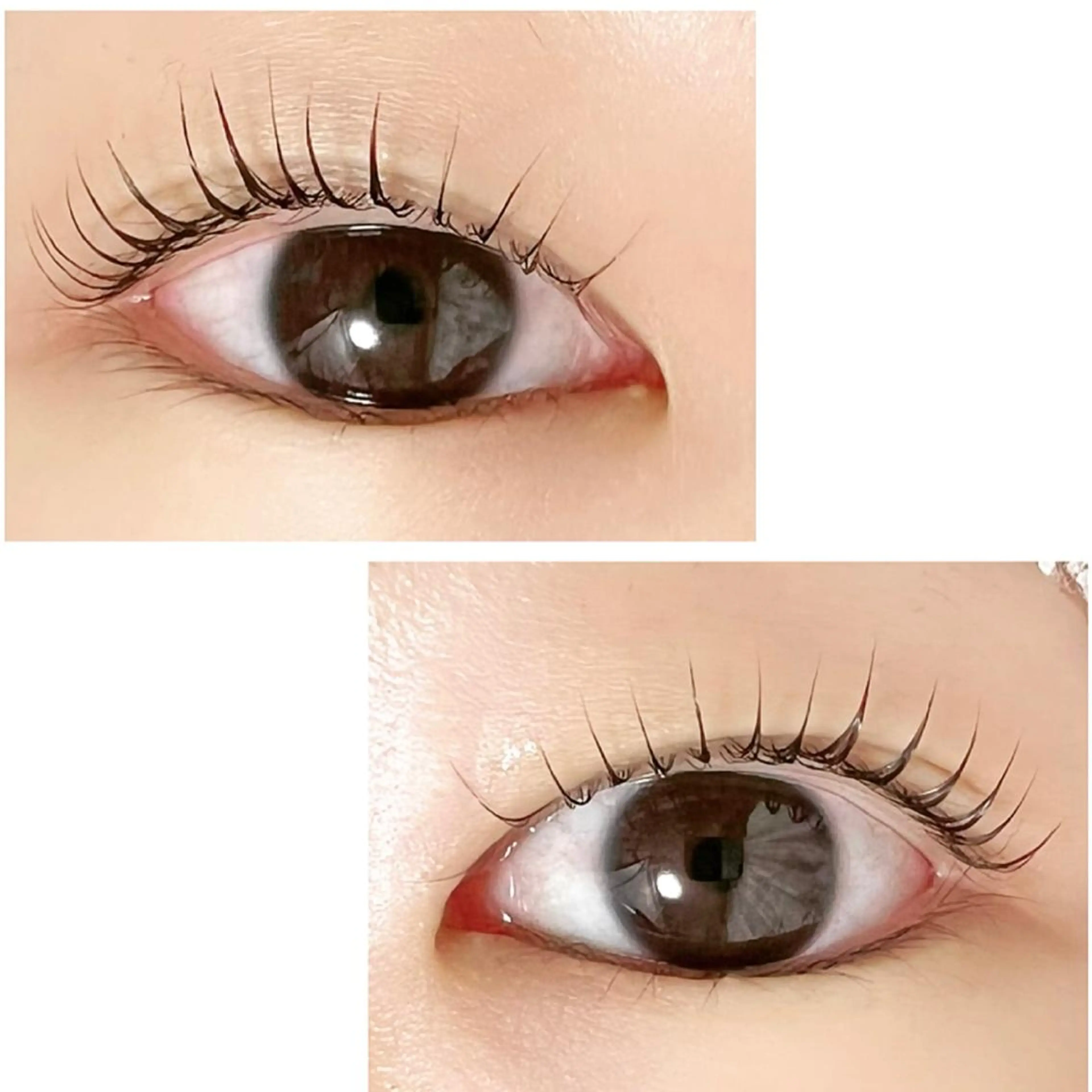 マツエク・マツパ Adorer(アドレ)所属・Adorer 🍀アドレ🍀のマツエク・マツパデザイン