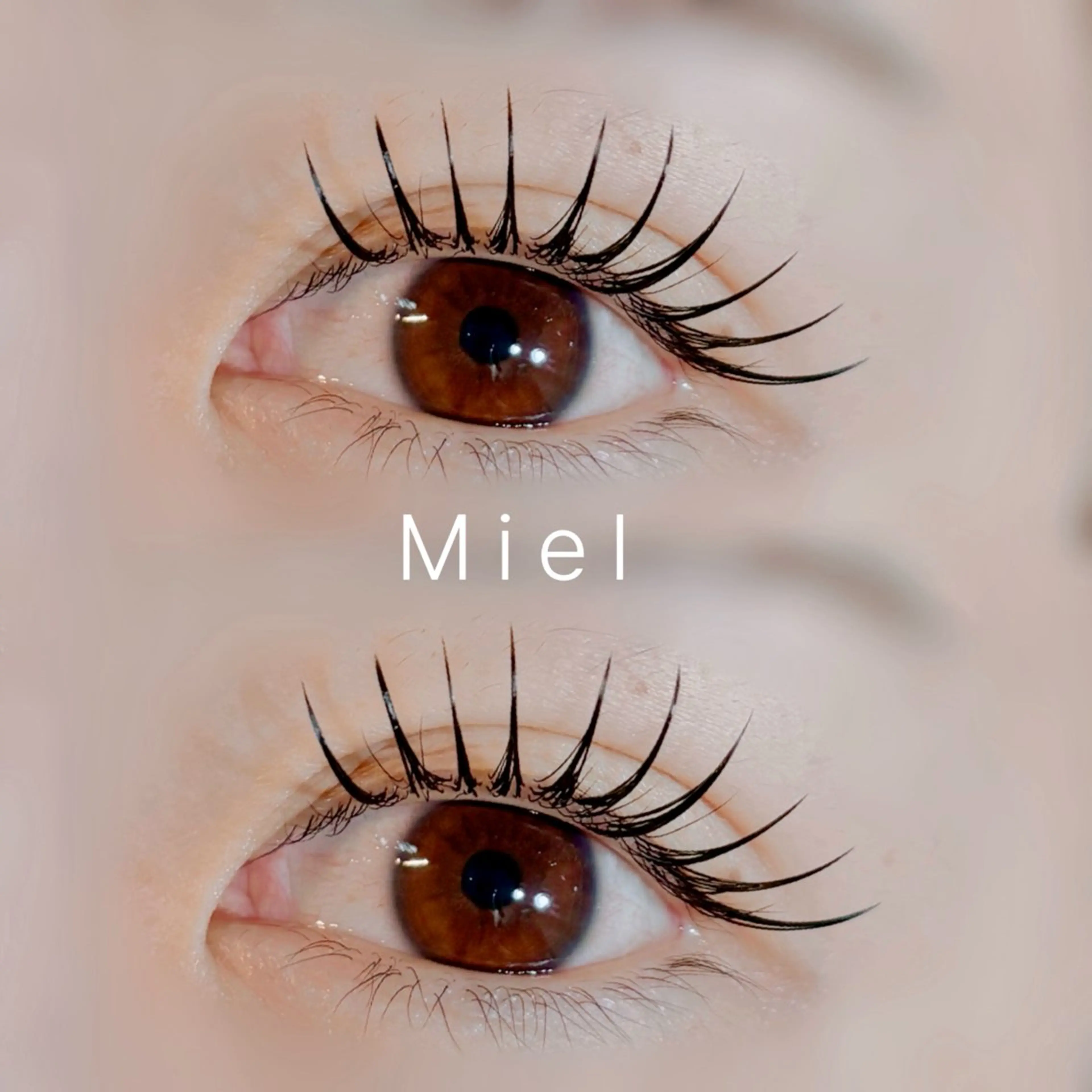 マツエク・マツパ フラットラッシュ まつげパーマ Mori ✨Mystical✨のマツエク・マツパデザイン