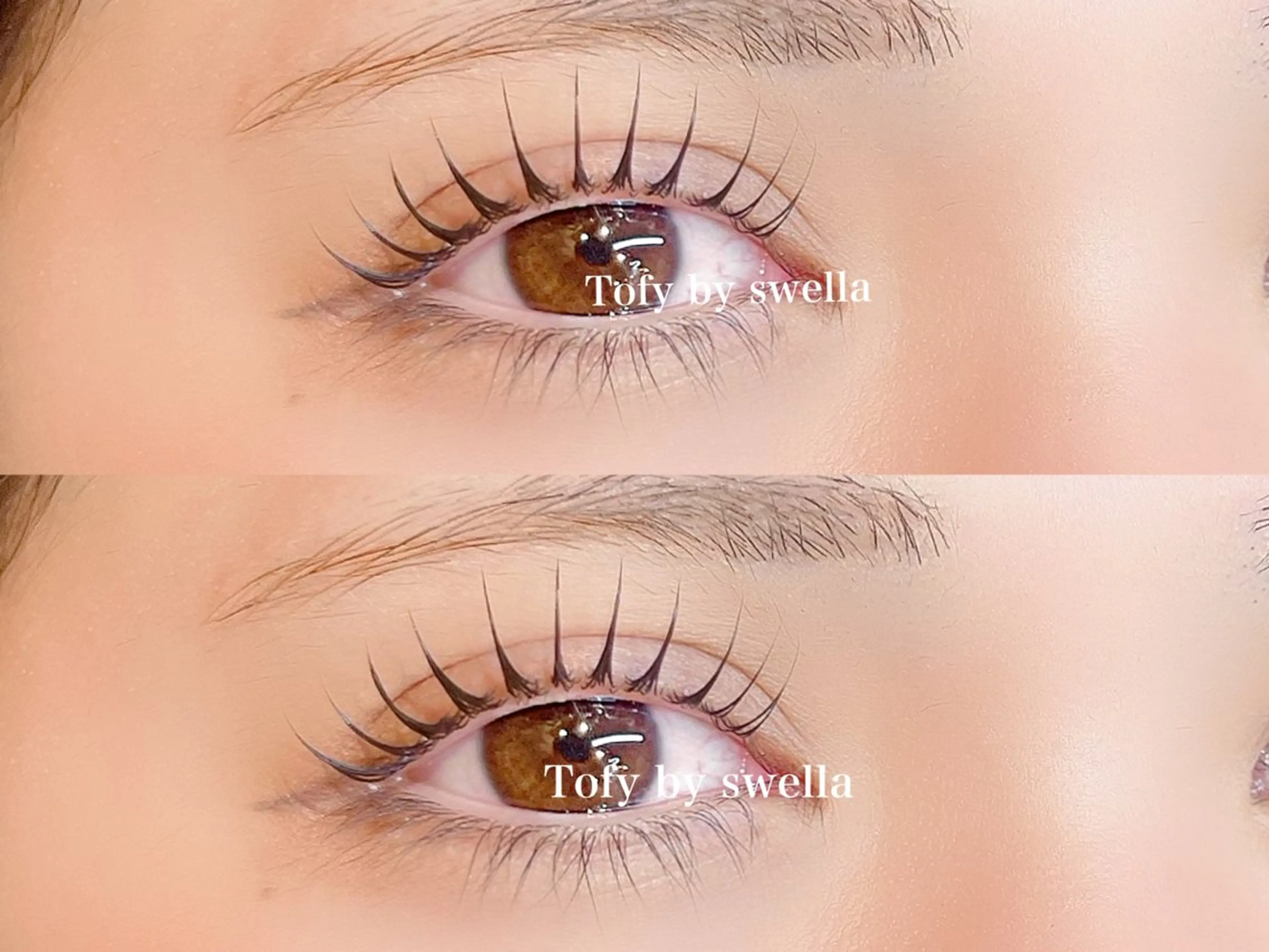 マツエク・マツパ TOMOMI 🍊Tofyのマツエク・マツパデザイン