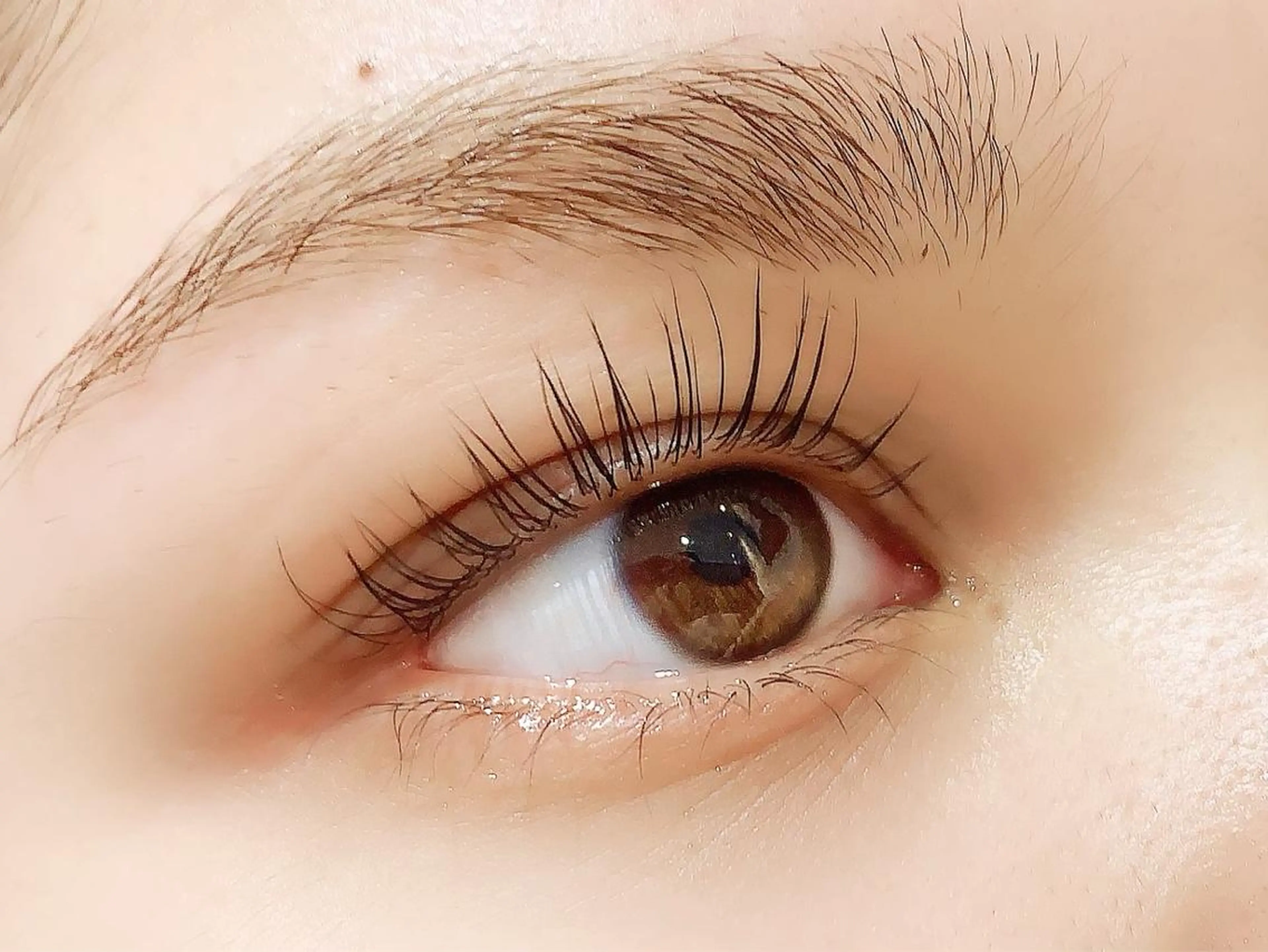 🌿まつ毛パーマ上のみ【パリジェンヌ対応】何度でも使用可🧸の写真