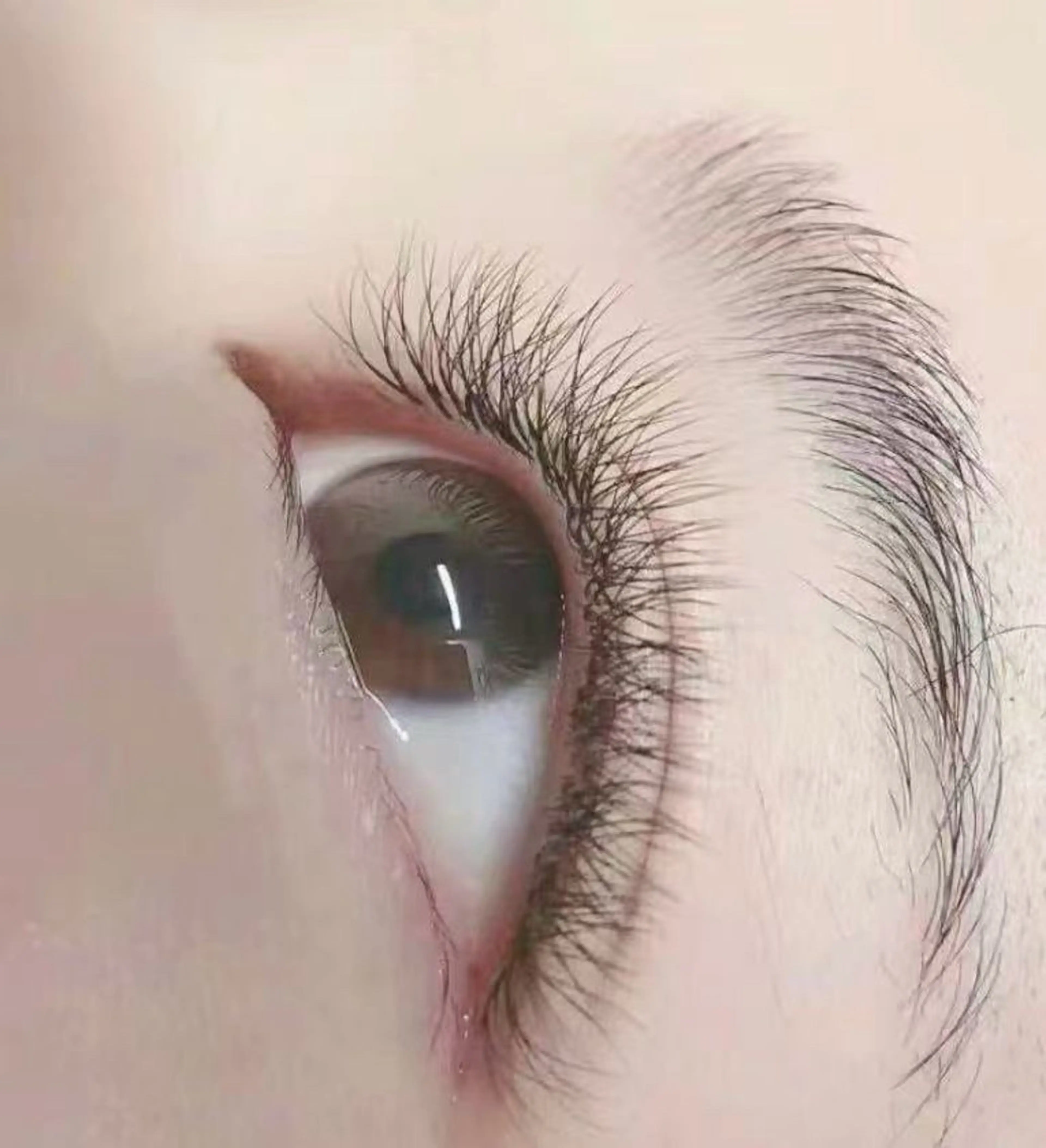 マツエク・マツパ あ やのマツエク・マツパデザイン