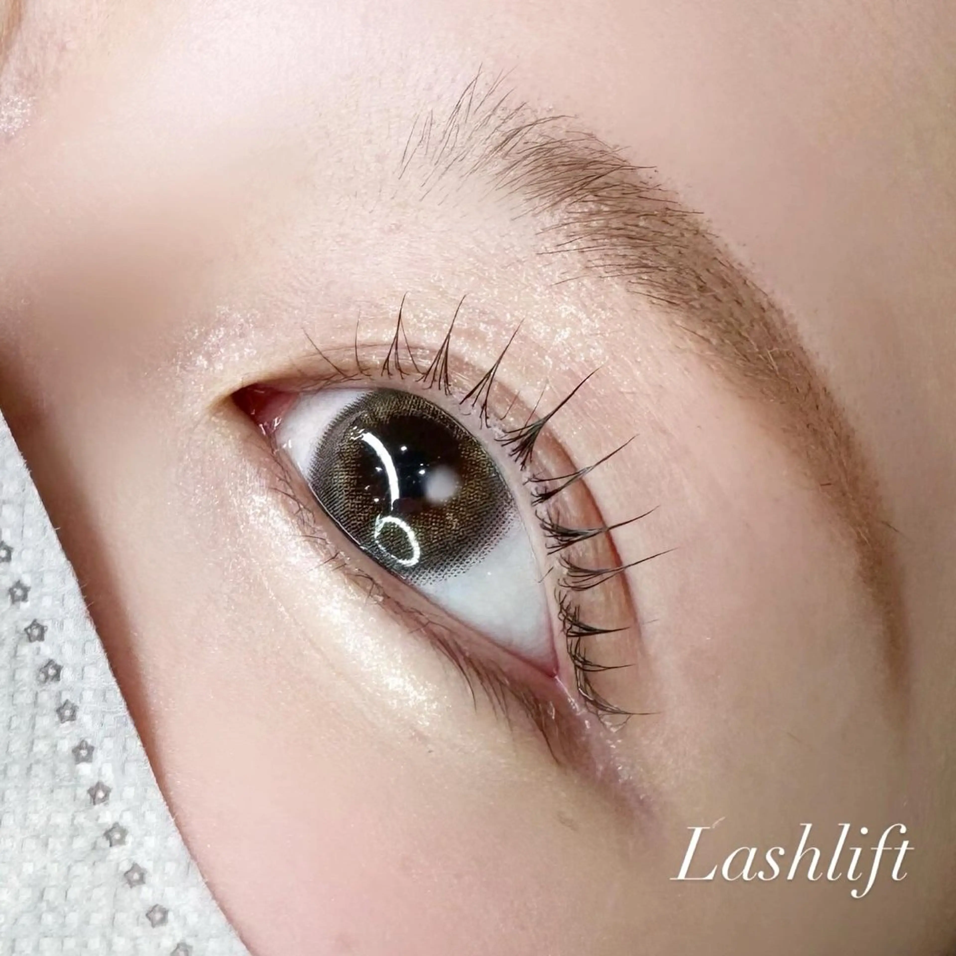 ラッシュリフト＆美眉WAX12月24日​〜​1月11日限定クーポンの写真