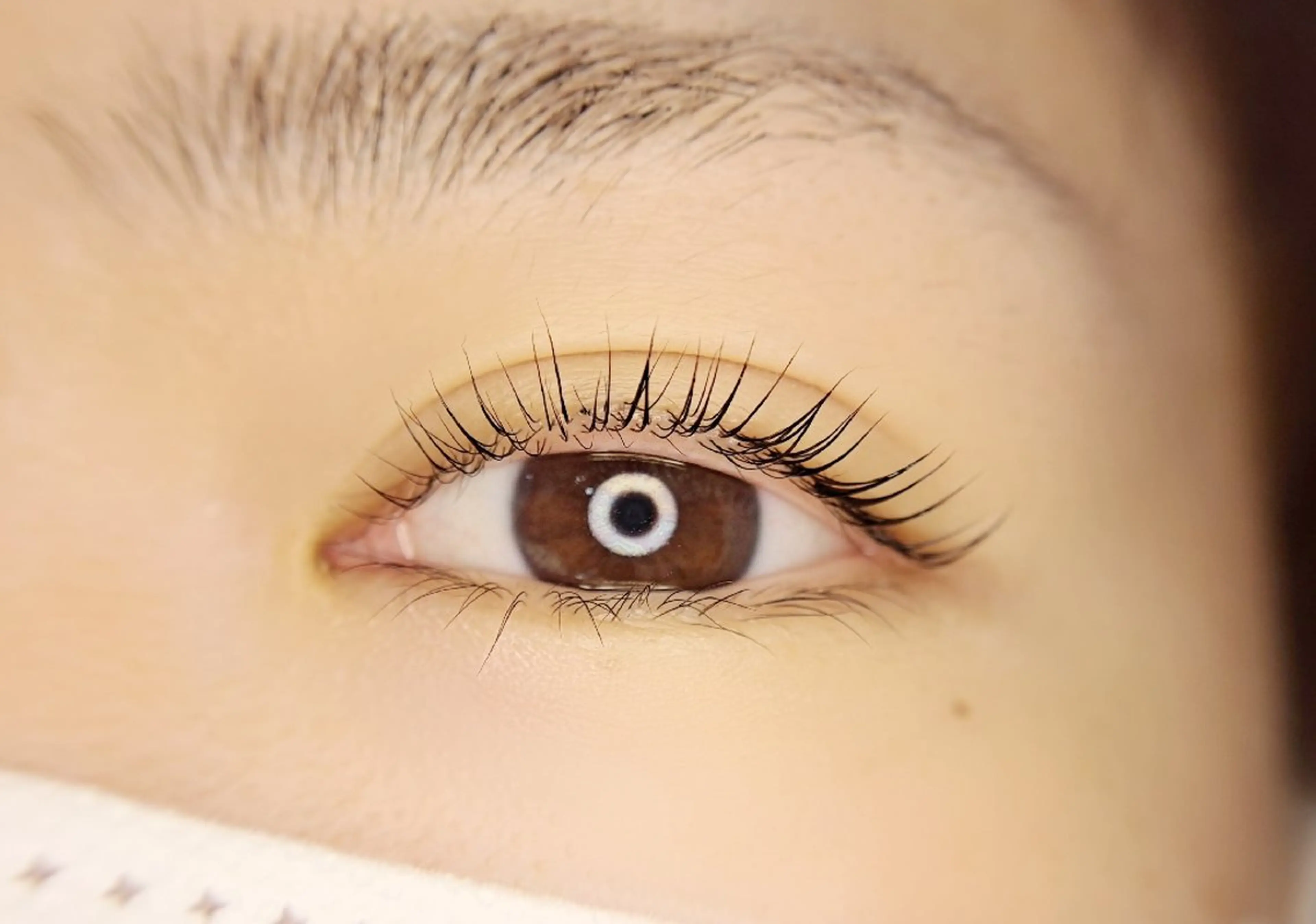 マツエク・マツパ cocolash　町屋店所属・cocolash 🧸のマツエク・マツパデザイン