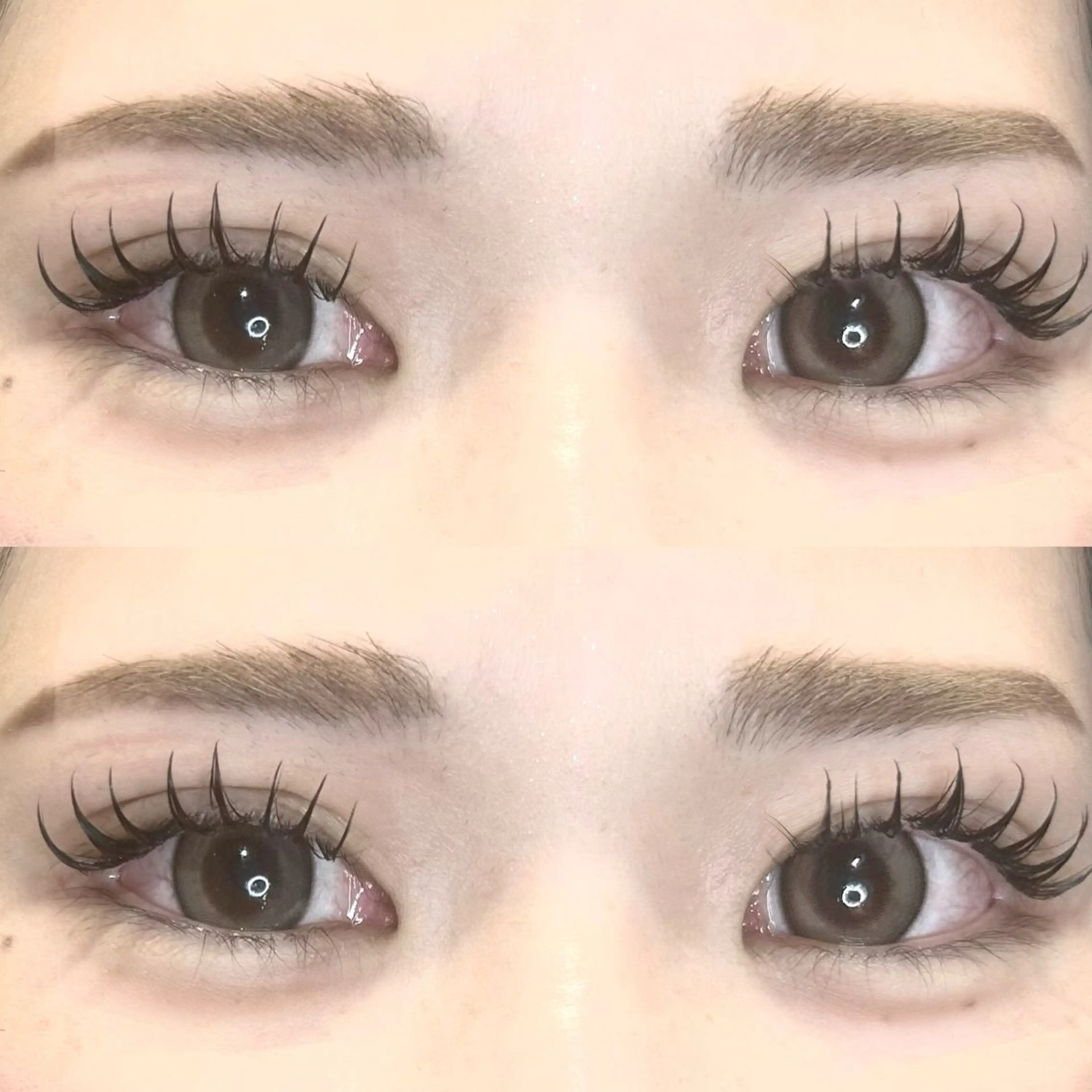 マツエク・マツパ 👑𝐊𝐢𝐧𝐠 心斎橋店🎀美麗のマツエク・マツパデザイン