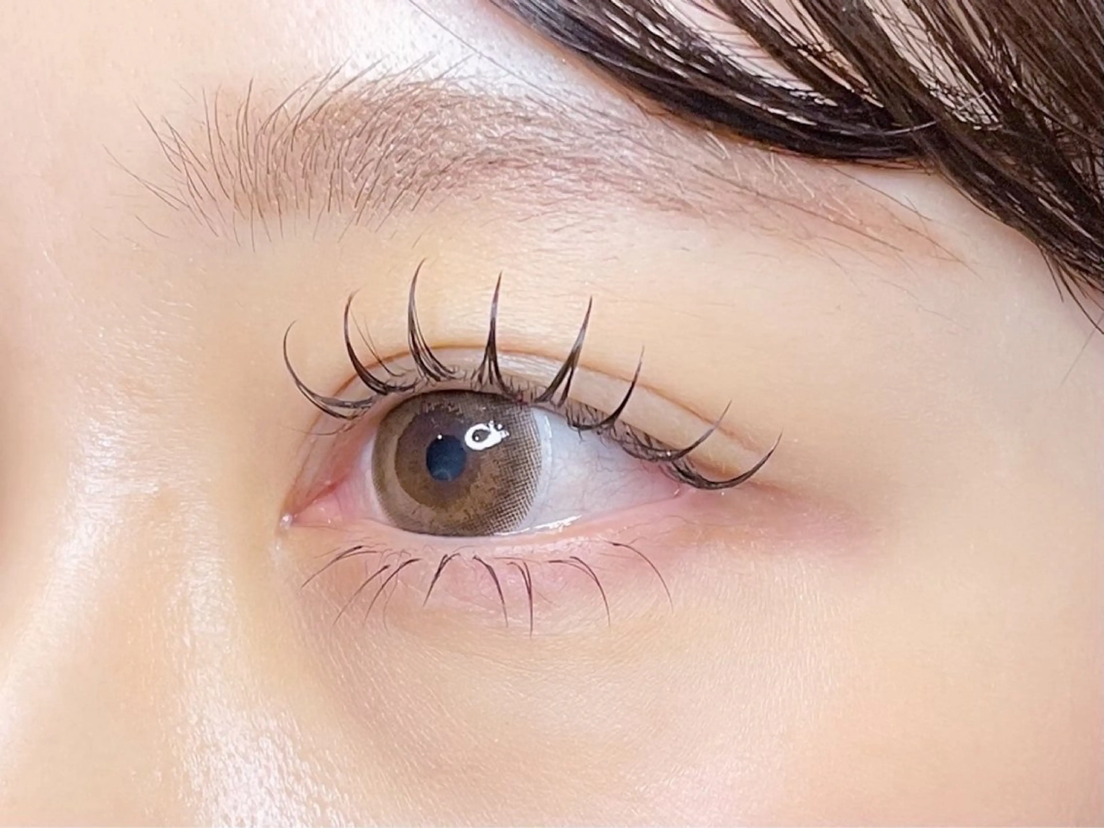 Wフラット60分以内つけ放題❤️‍🔥🪽(ブラウンカラー変更¥+550)🌙140本(70束)までの写真