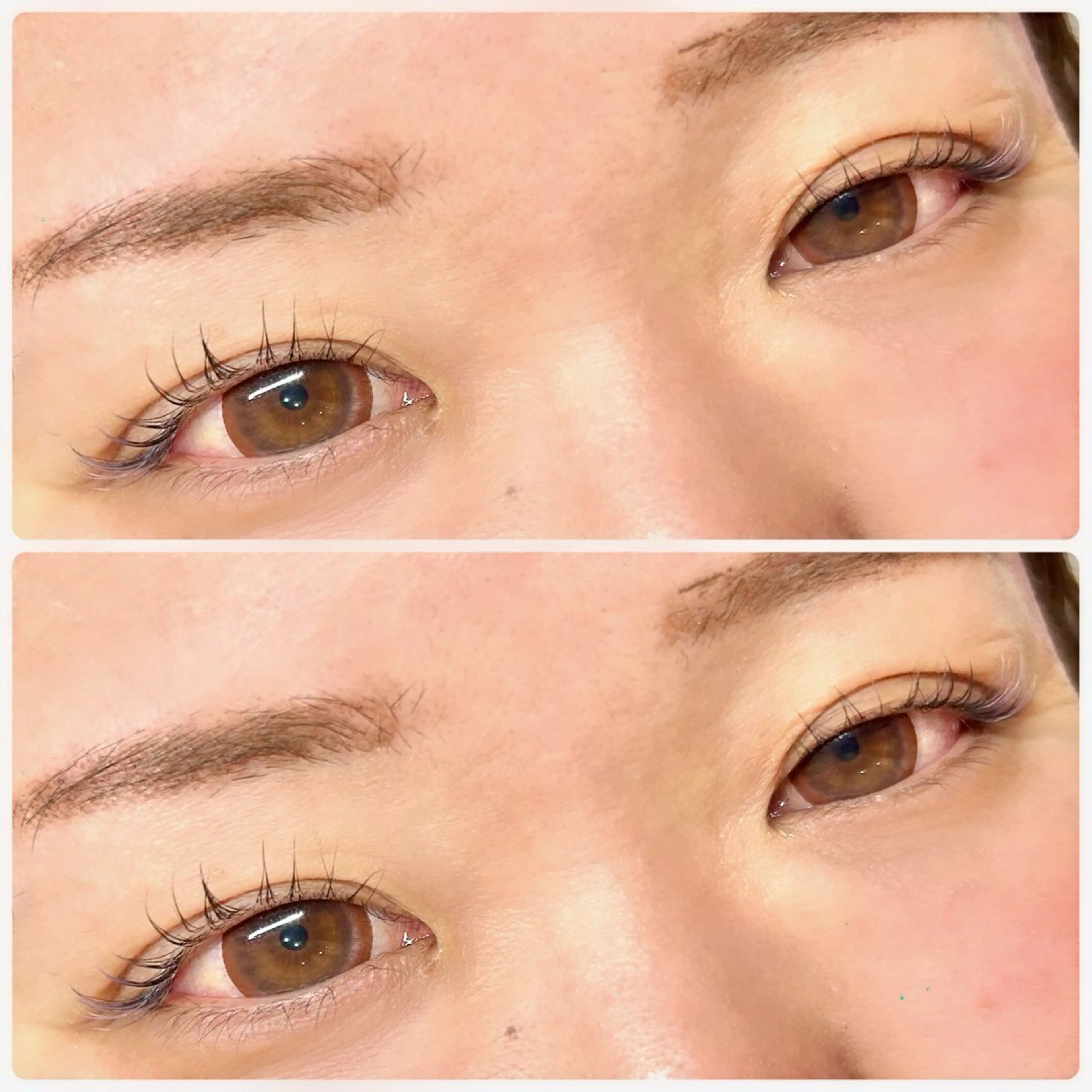 マツエク・マツパ アイブロウ/HBL 🦄MEMEの眉毛・アイブロウイメージ