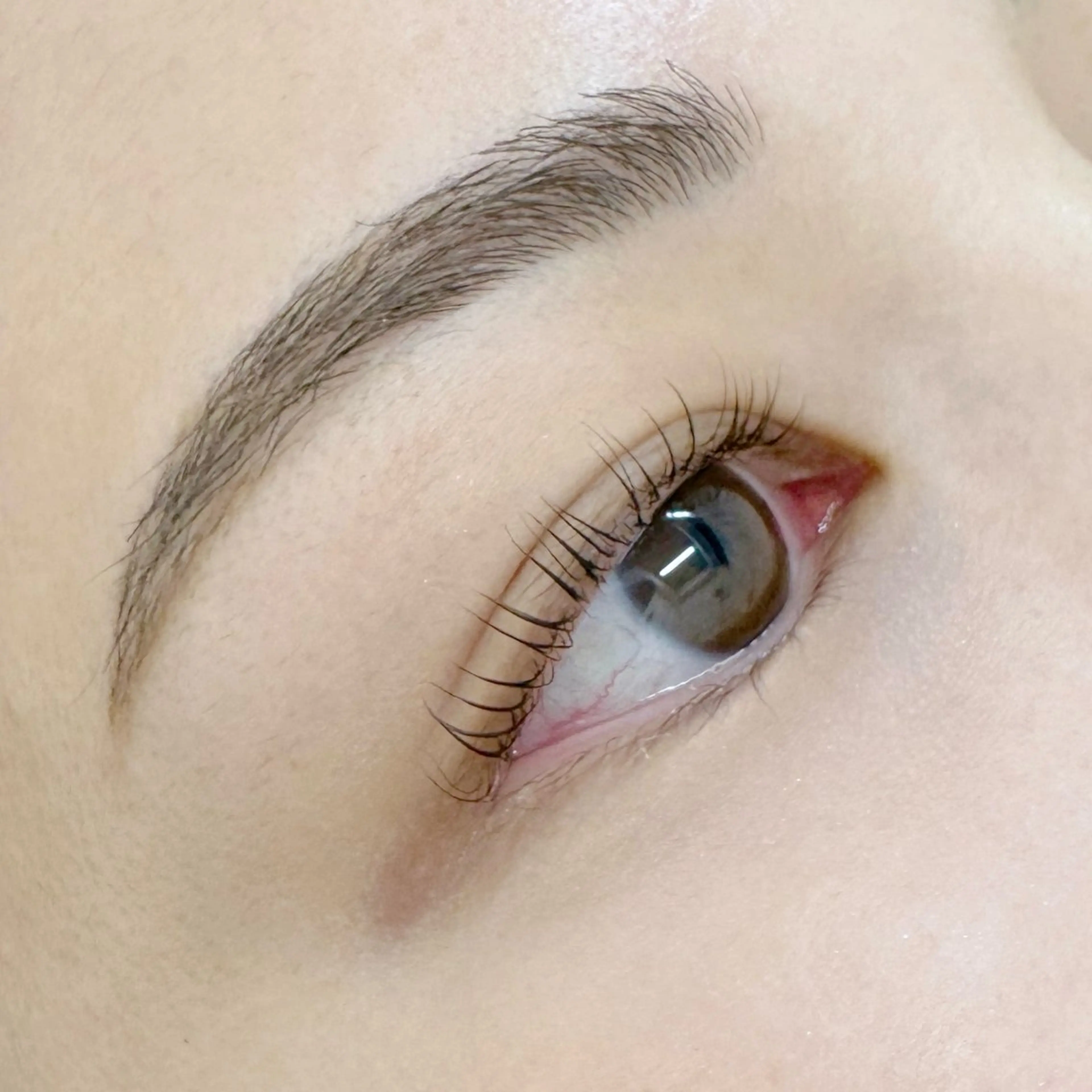 【airiリピーター限定😍👑】美眉アイブロウwax+ラッシュリフト《パリジェンヌに変更🆗》土日祝+300円の写真