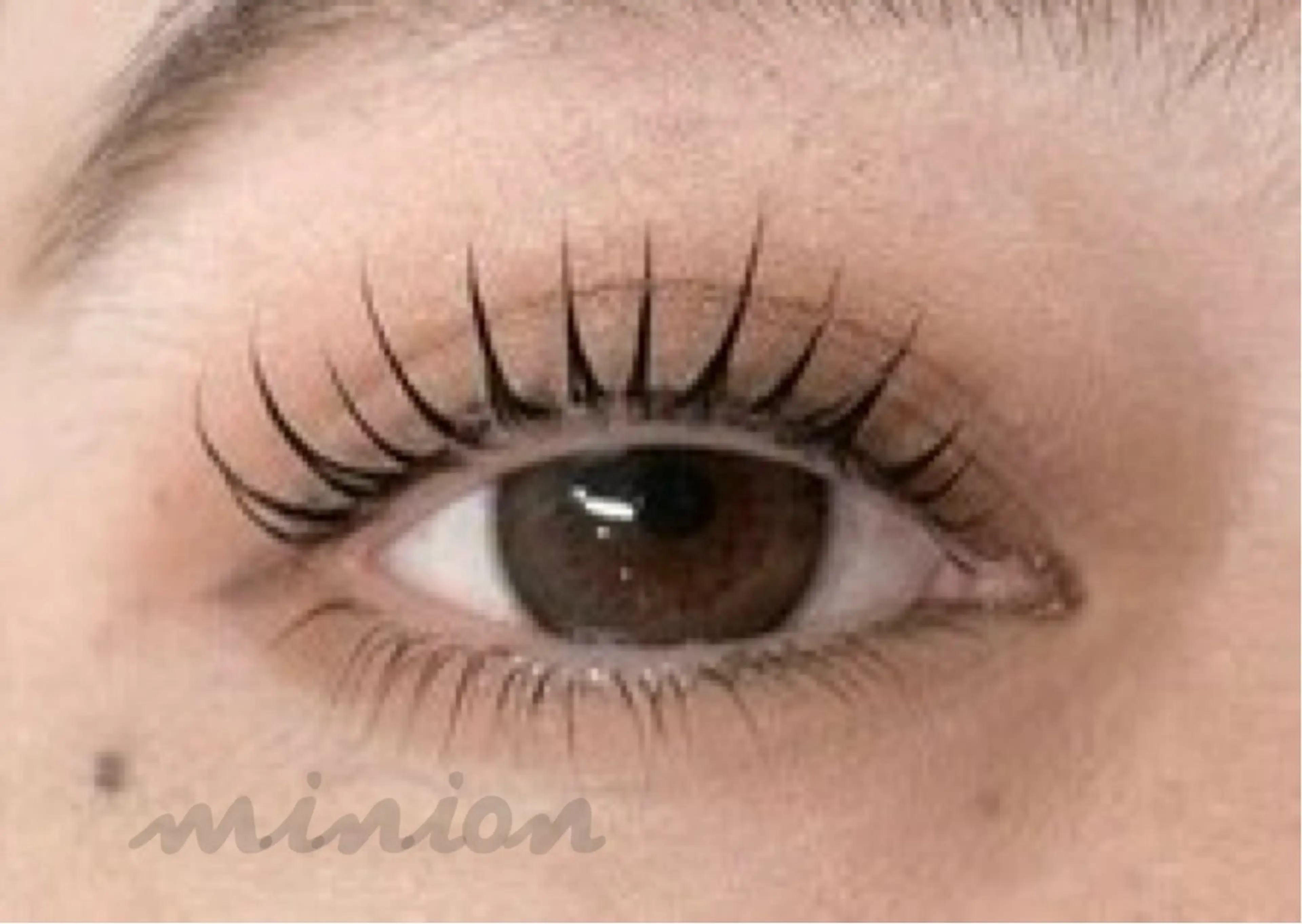 マツエク・マツパ minion 赤羽のマツエク・マツパデザイン