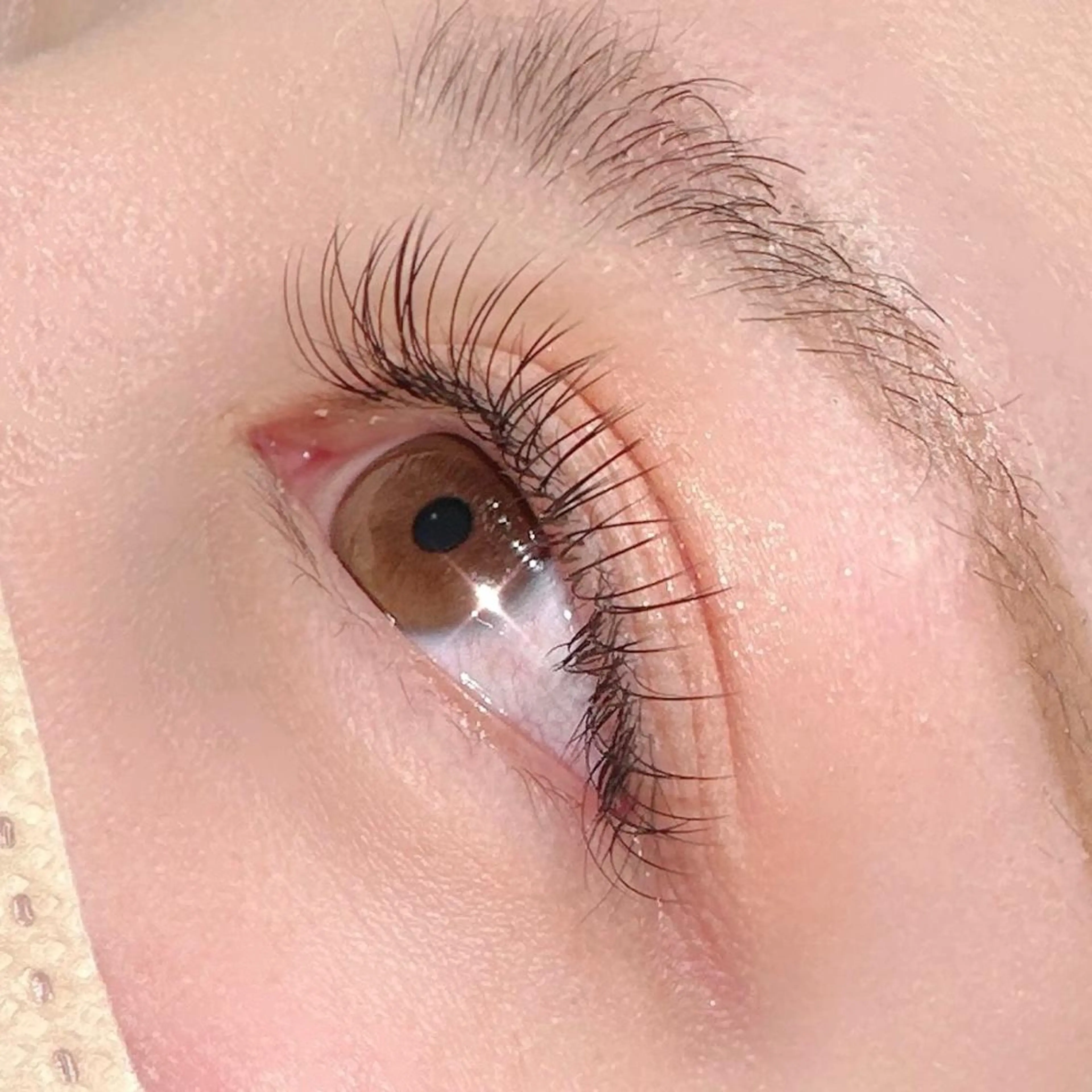 🌼次世代 超軽量フラットラッシュ140本🌼の写真