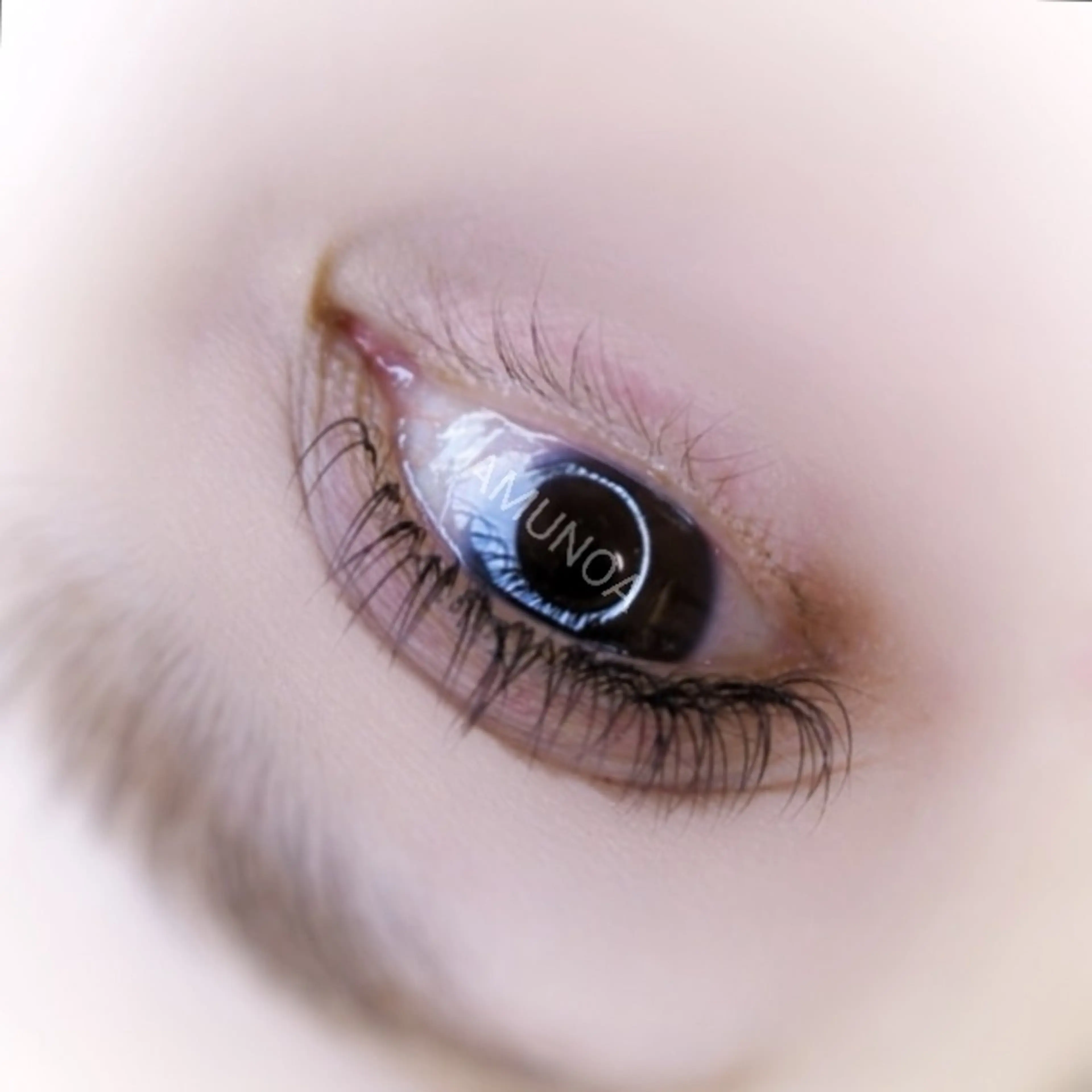 マツエク・マツパ Dカール 美容室アムノア所属・美容室 AMUNOAのマツエク・マツパデザイン