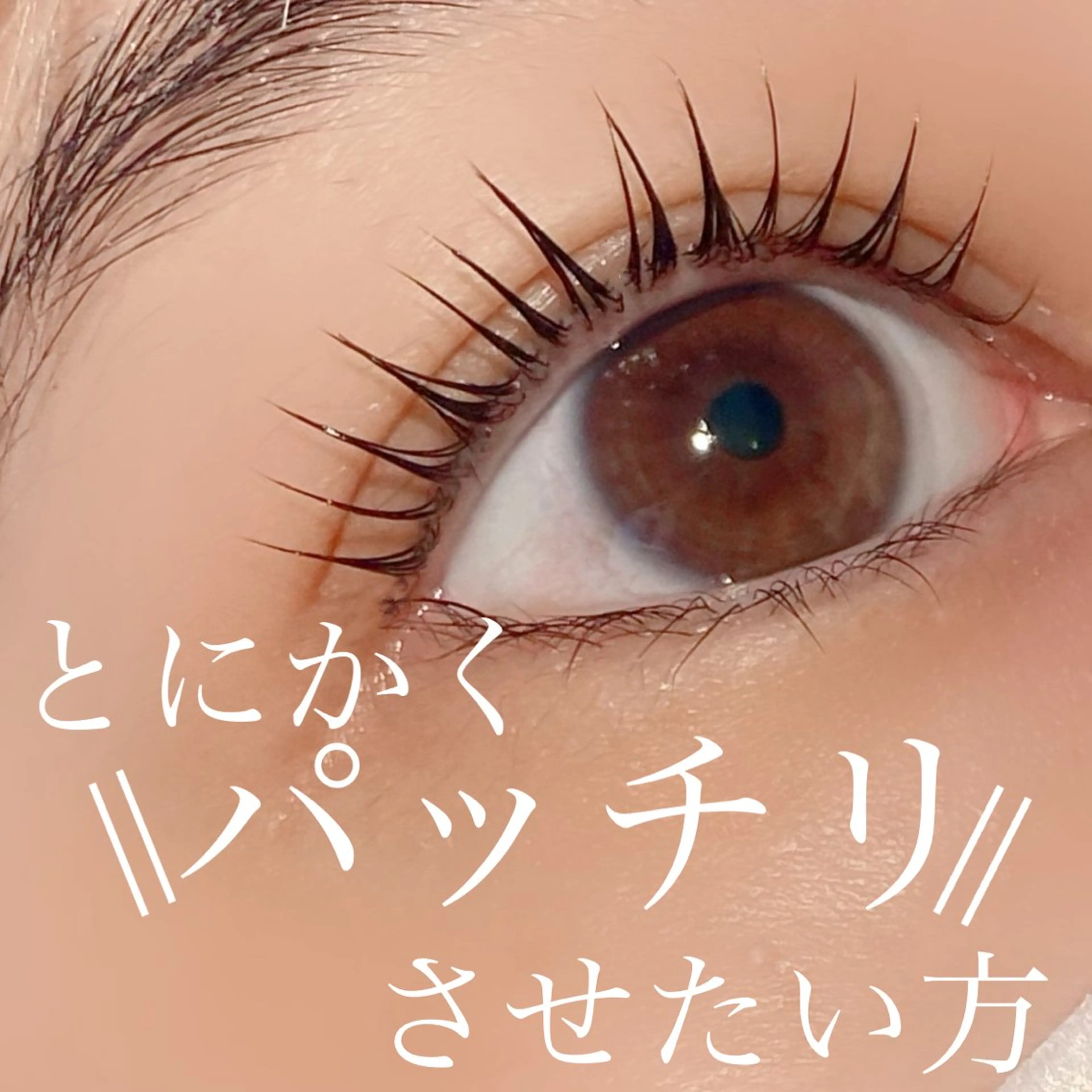 マツエク・マツパ filo所属・三谷 知代のマツエク・マツパデザイン