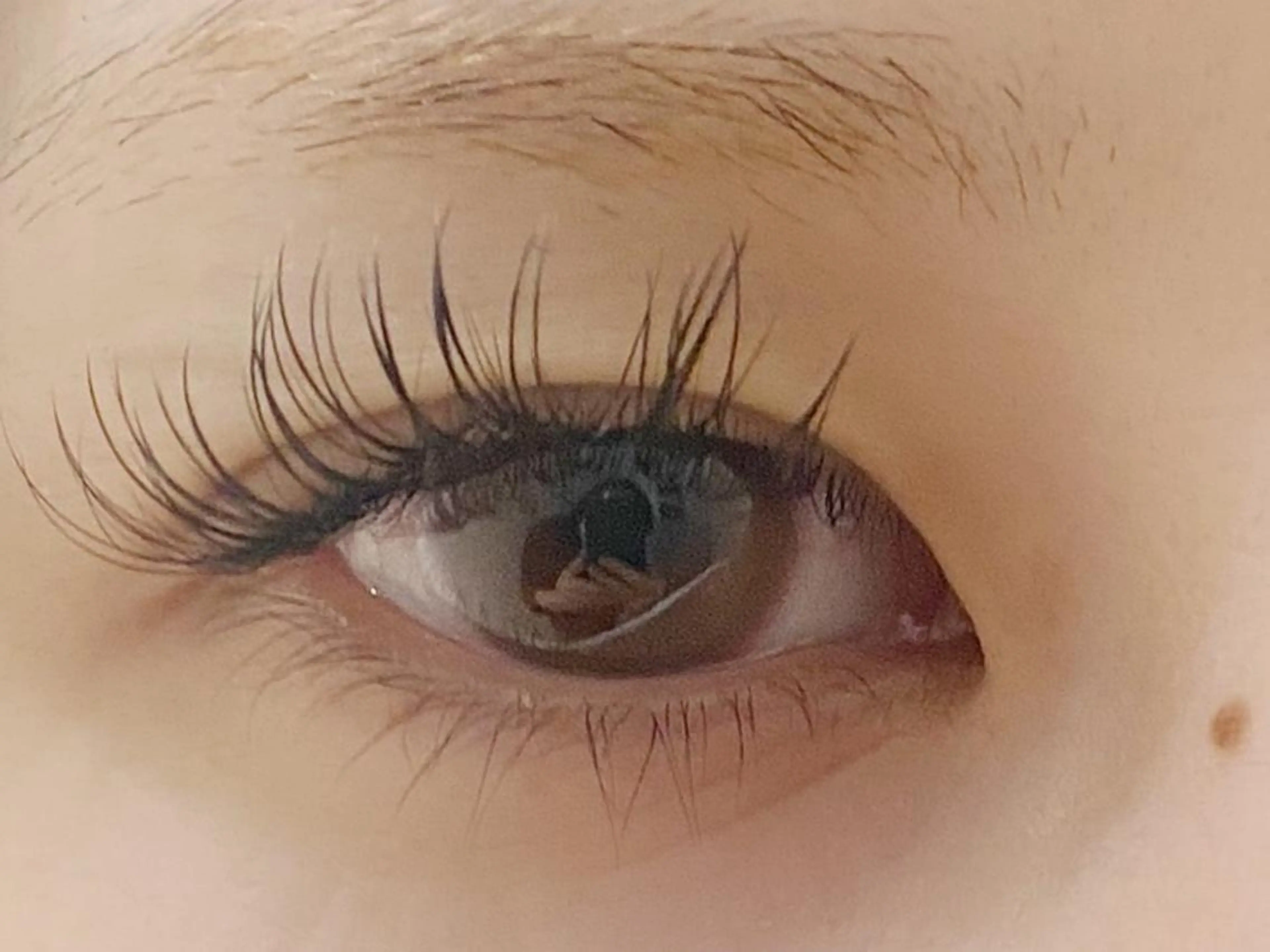 マツエク・マツパ Dカール フラットラッシュ マツエク アイラッシュサロンF所属・磯崎 桃子 f(エフ)のマツエク・マツパデザイン