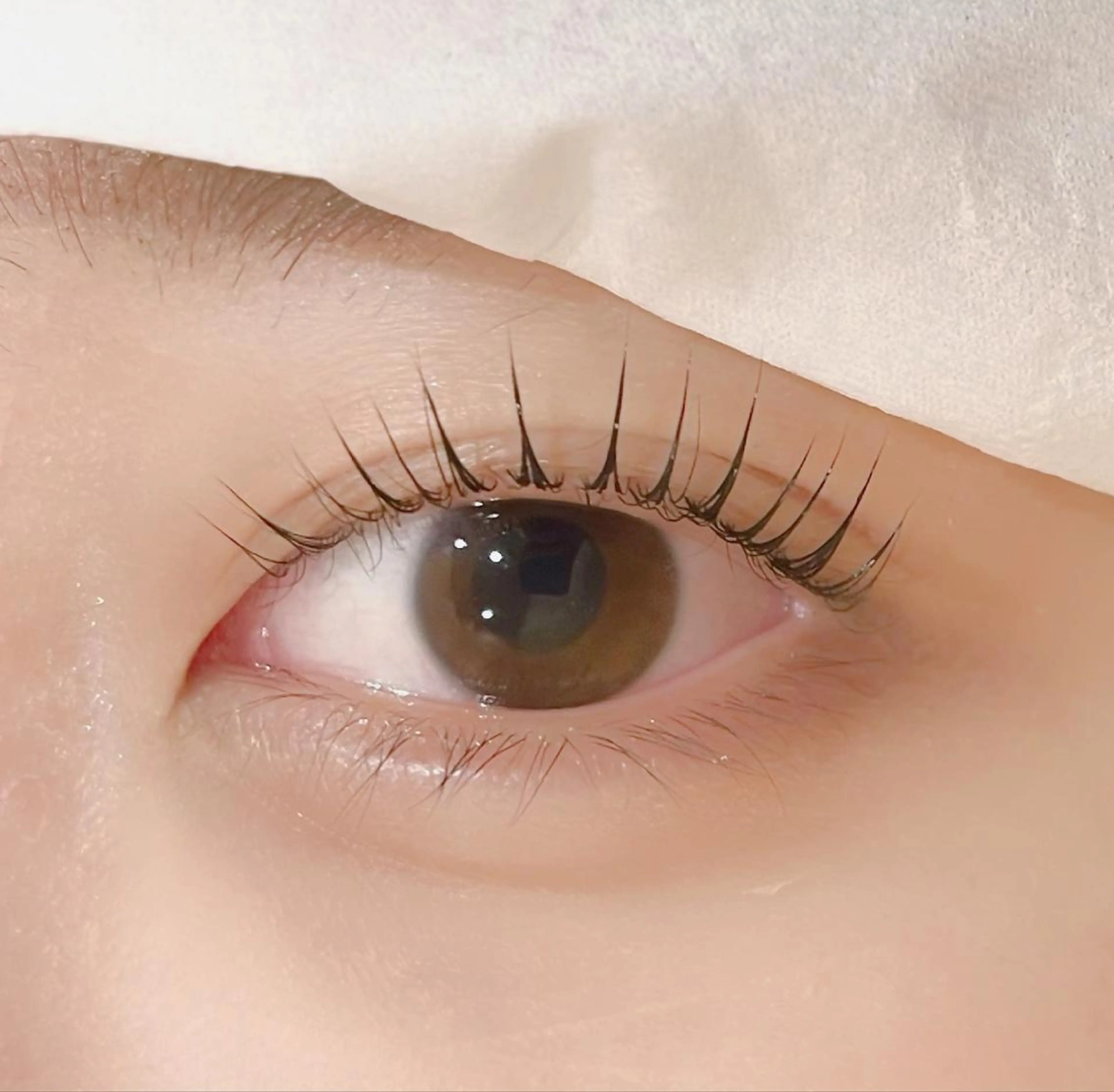 マツエク・マツパ マツパ mecotto大宮店 店長MAKI似合わせのマツエク・マツパデザイン