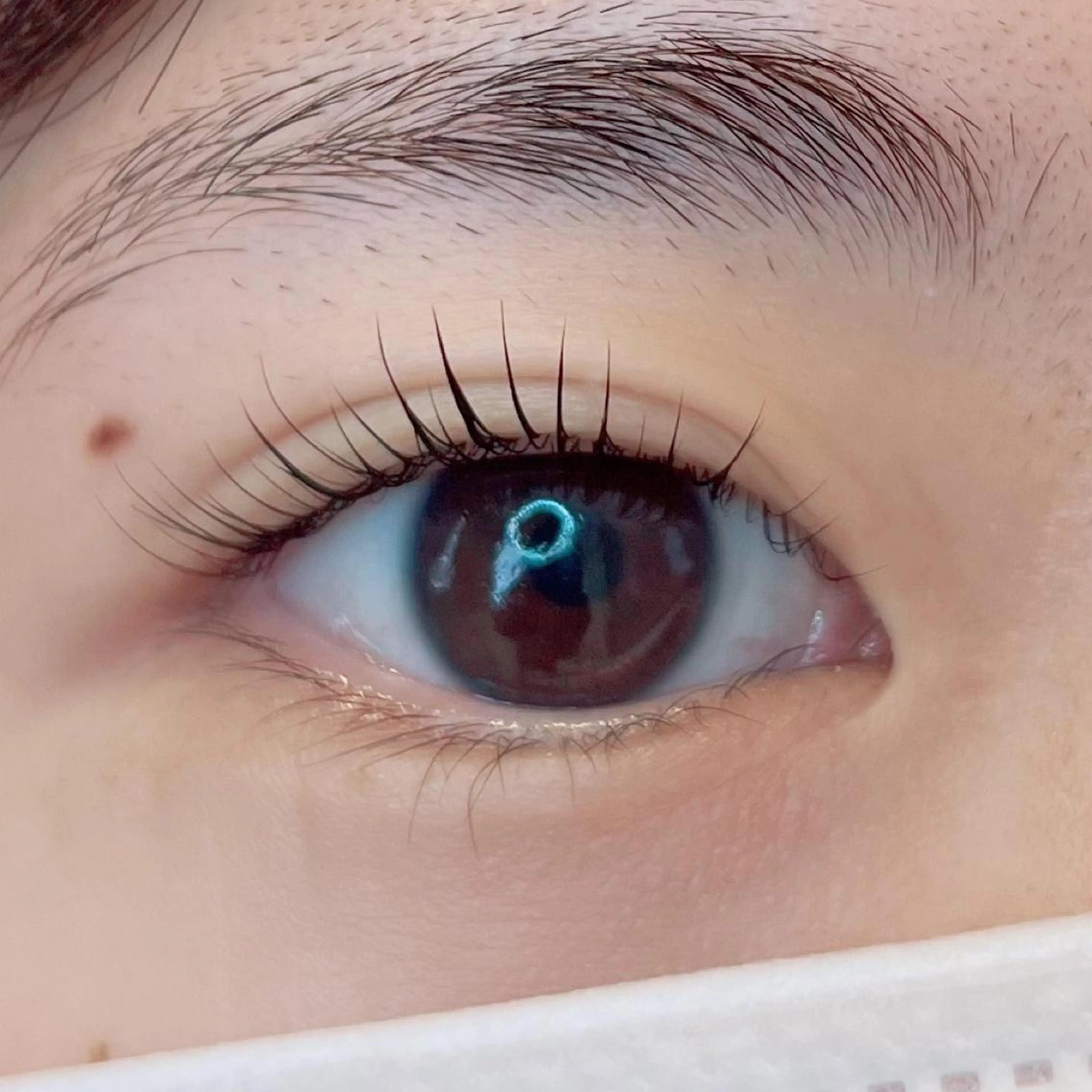 マツエク・マツパ JESSICA荻窪 川窪のマツエク・マツパデザイン