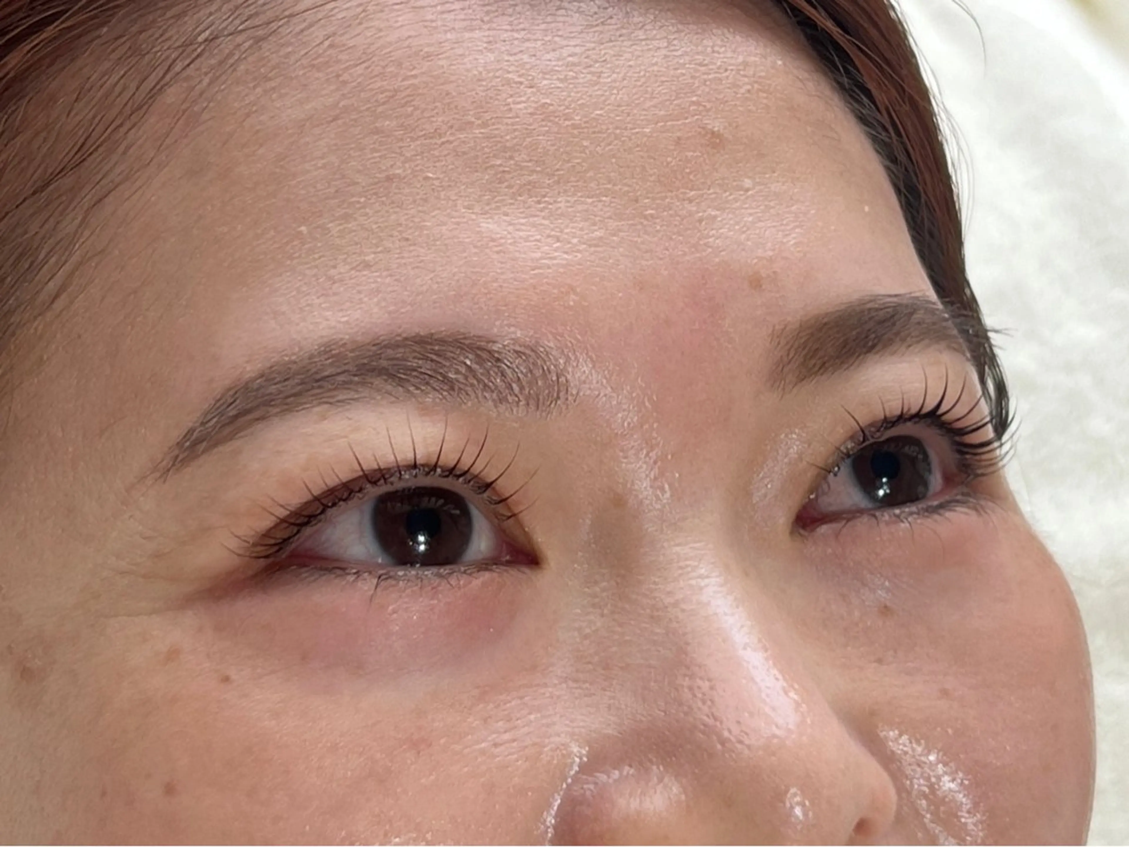 マツエク・マツパ パリジェンヌラッシュリフト まつげパーマ 堺市/13trece LEDエク.マツパの眉毛・アイブロウイメージ