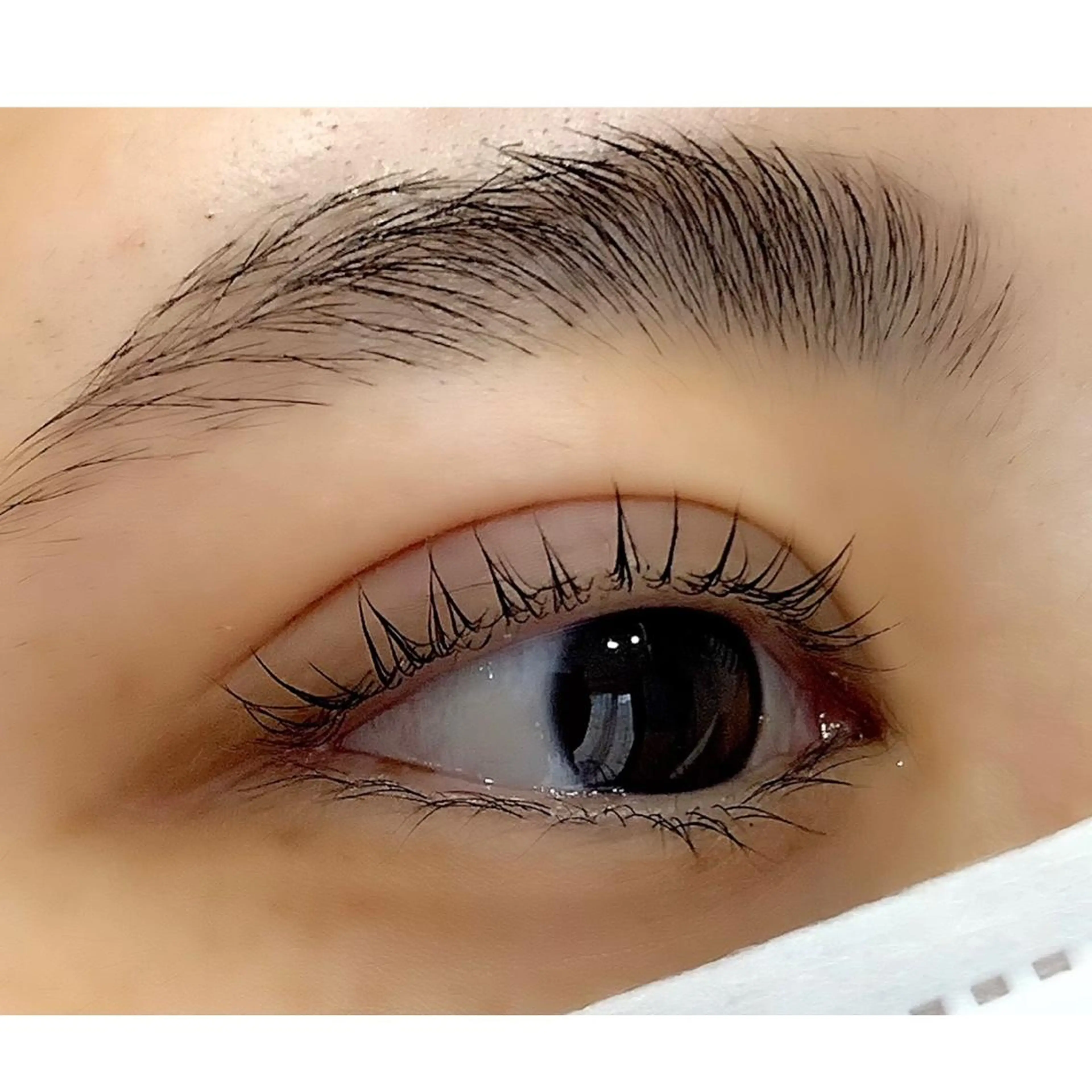 マツエク・マツパ マツパ Beaute MOTOKOのマツエク・マツパデザイン