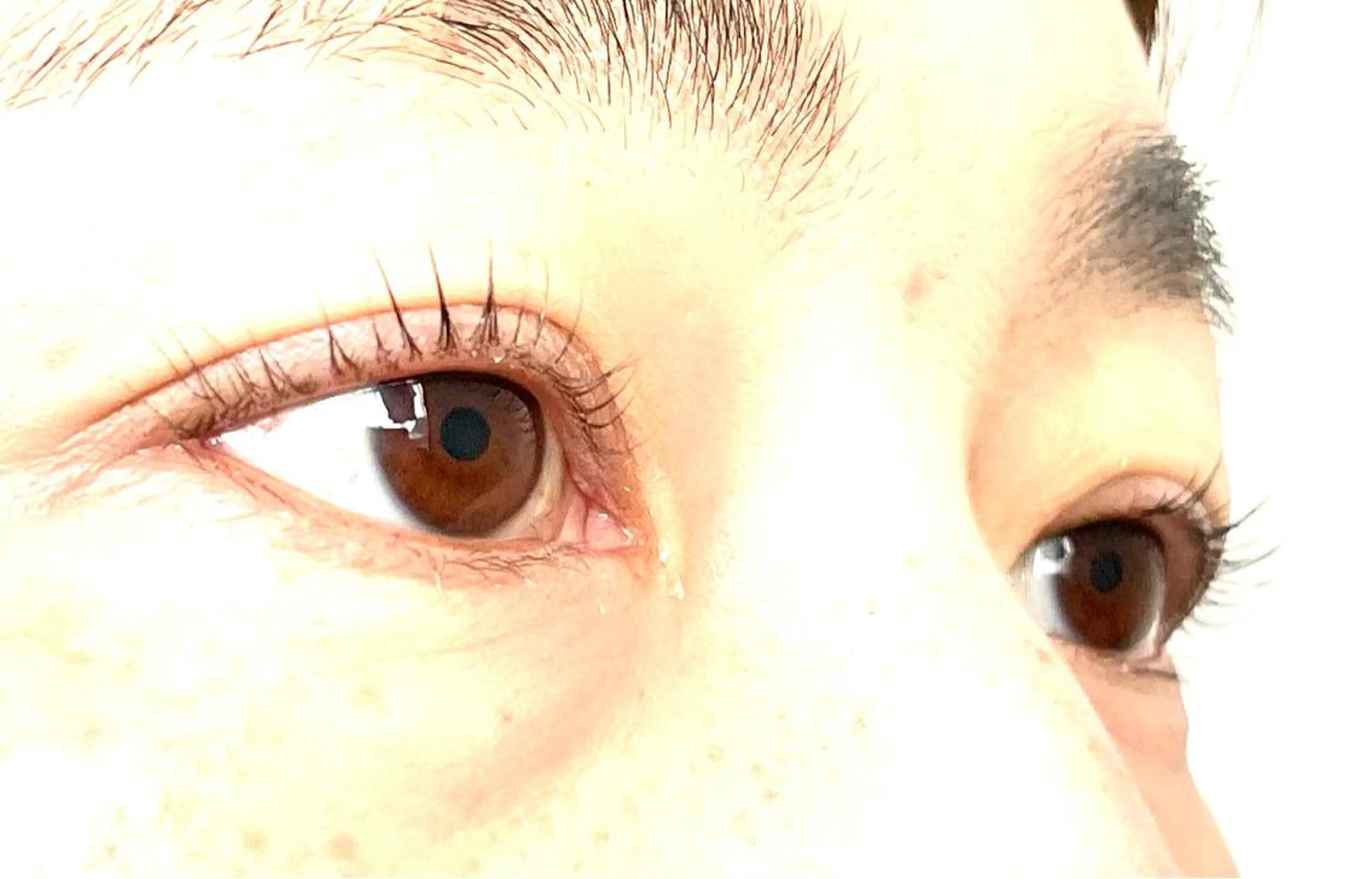 マツエク・マツパ 一重×まつ毛パーマ GLUCK所属・GLUCK 彩子のマツエク・マツパデザイン