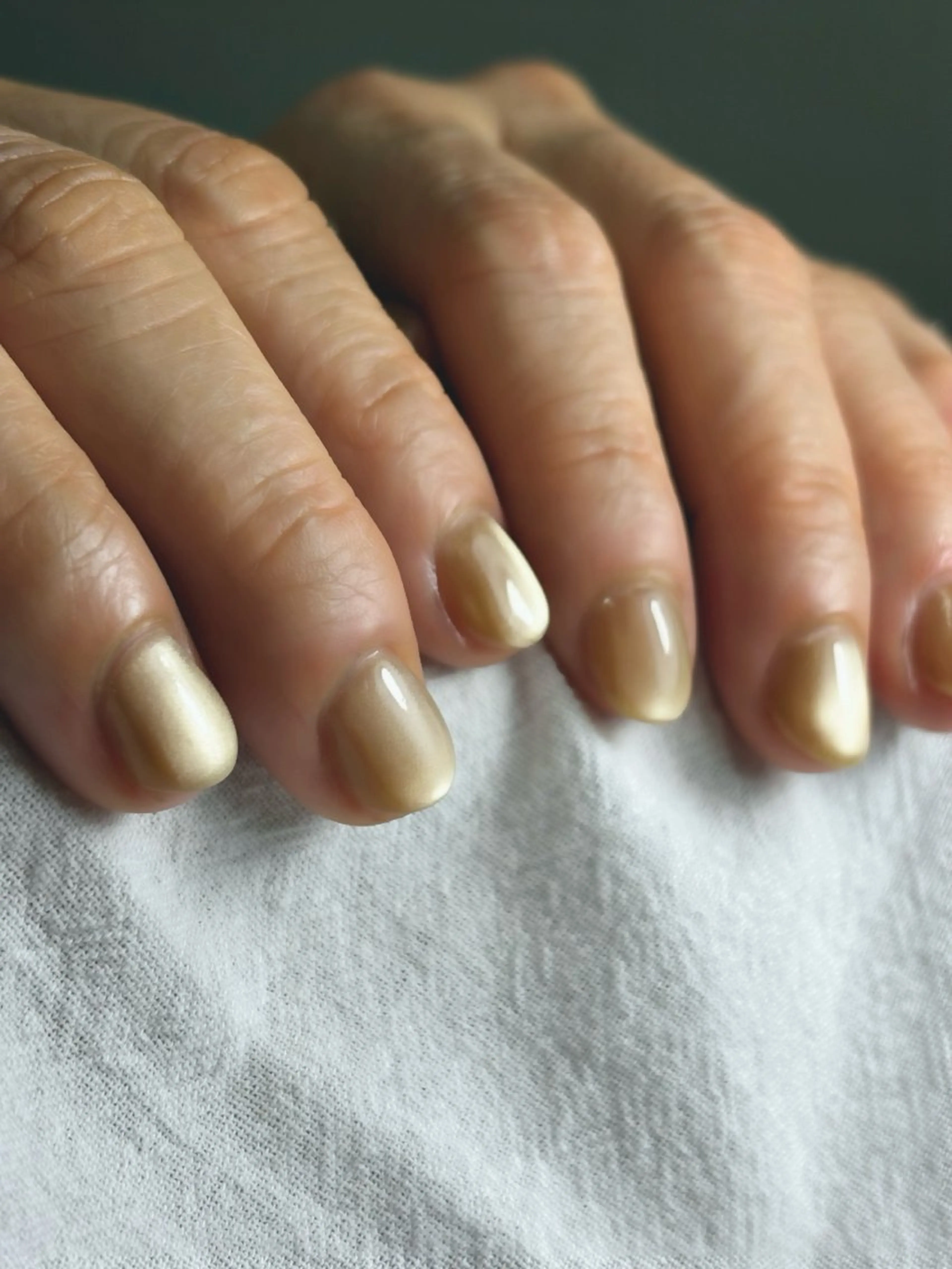 ネイル マグネットネイル Spricoloré ／harunaのネイルデザイン