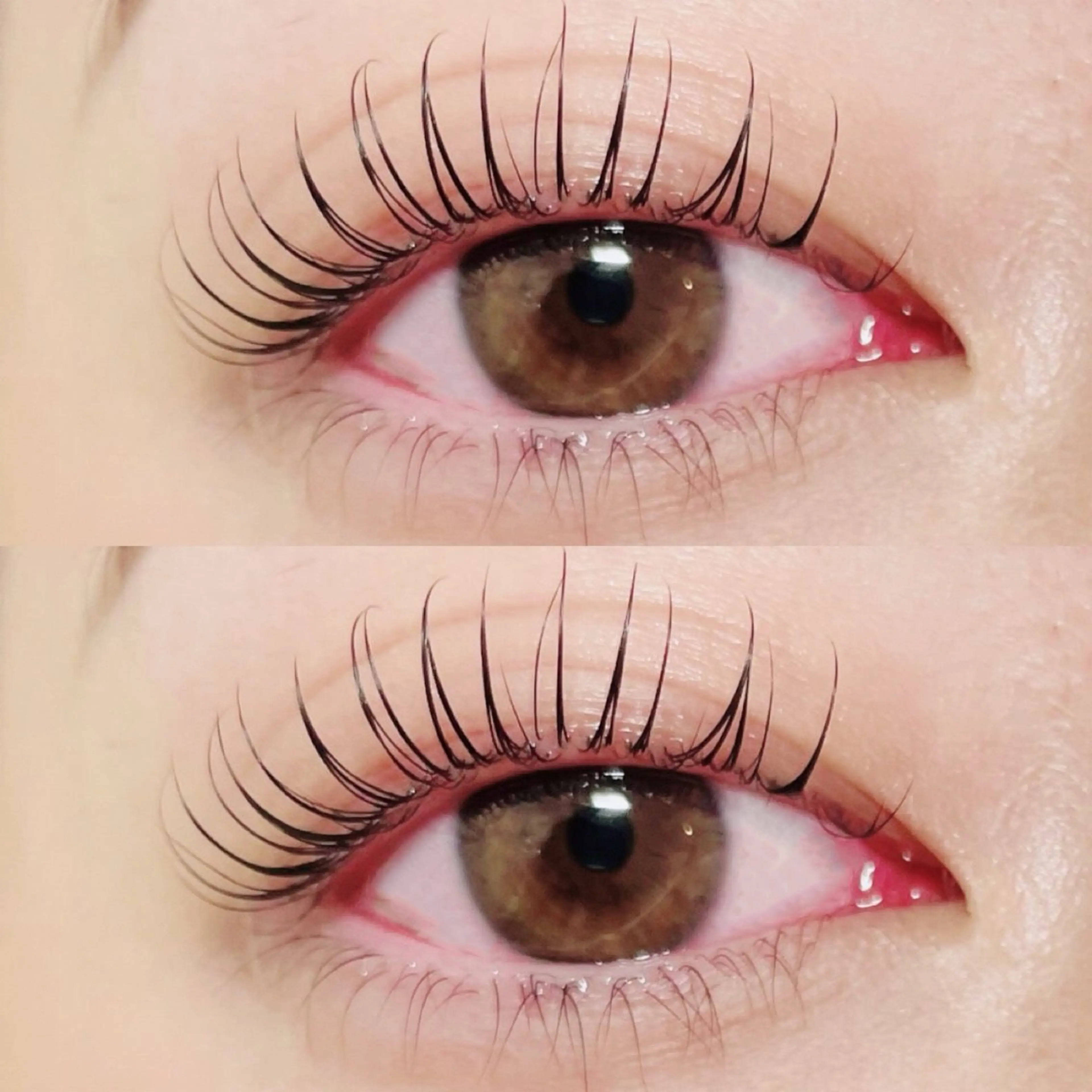 マツエク・マツパ マツパ stella eyelash所属・stella eyelashのマツエク・マツパデザイン