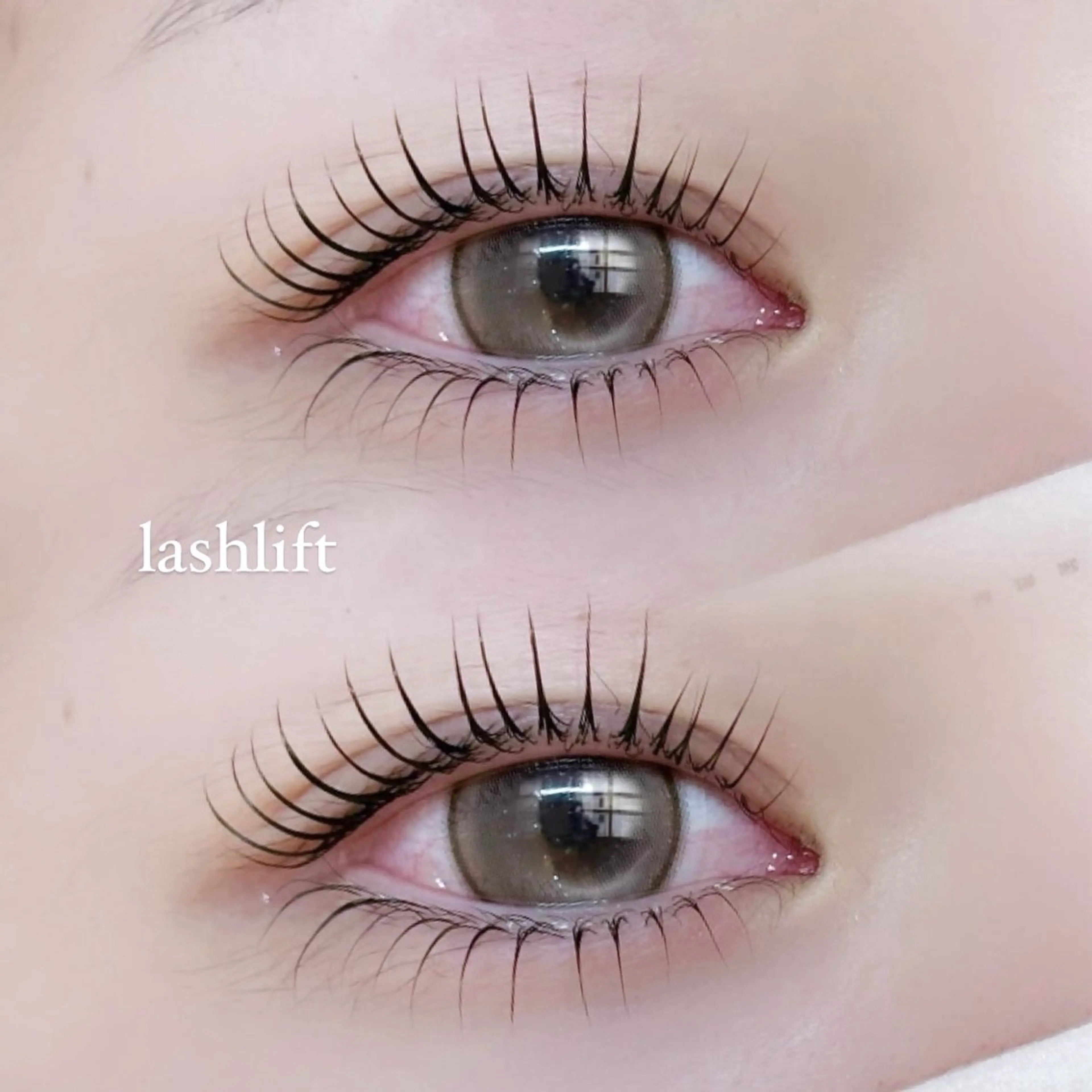 🎀ご新規様限定上下ラッシュリフト🎀の写真