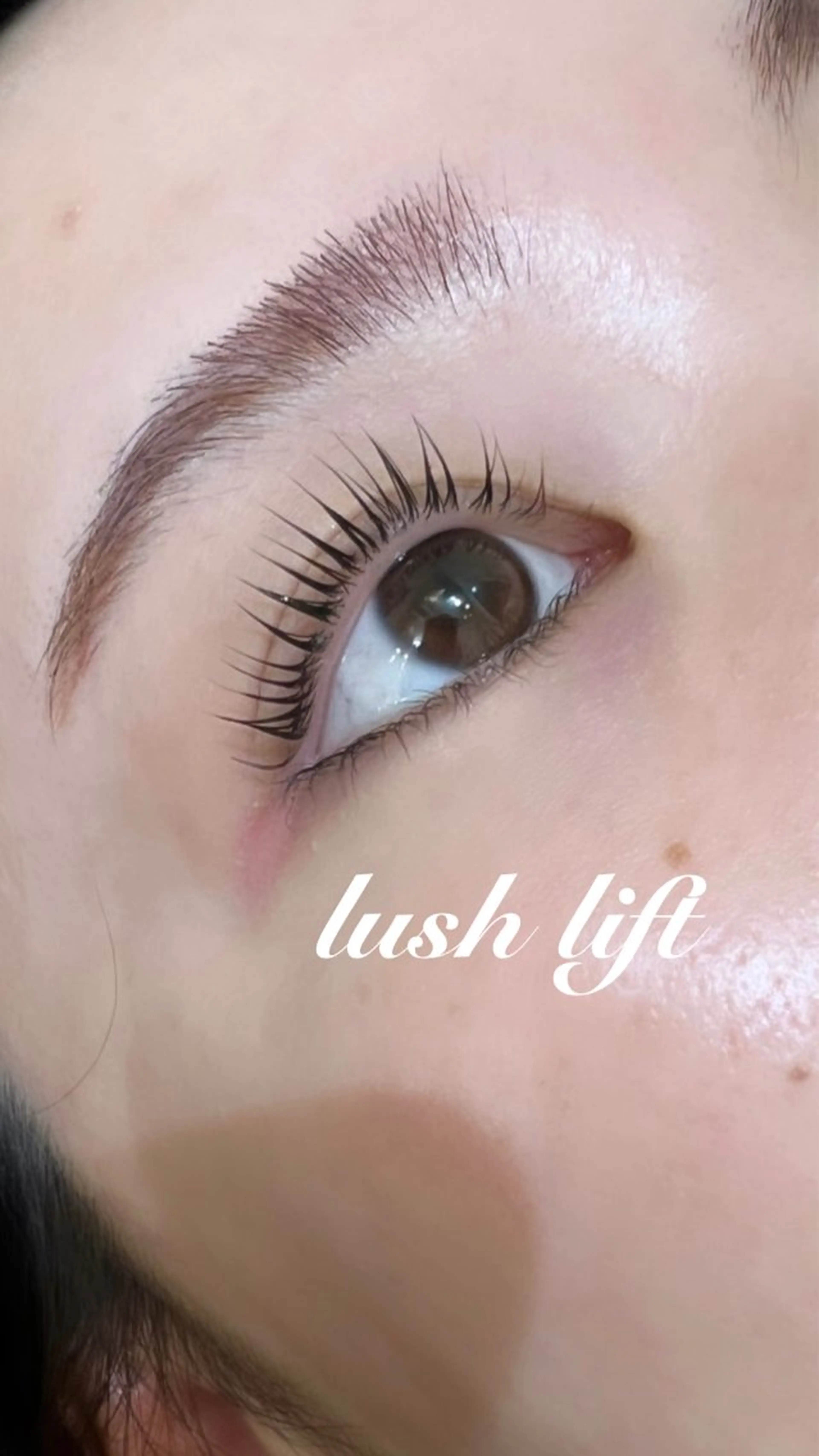 🪡平日限定人気No.1 まつ毛パーマ🛜パリジェンヌラッシュリフト【ワンホン仕上げOK🇨🇳🩶】の写真